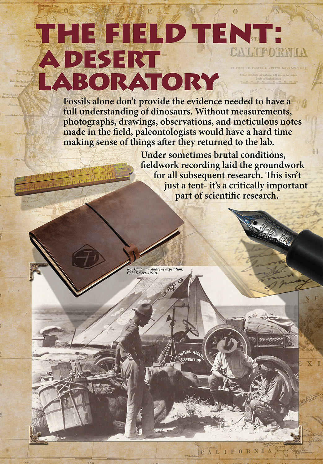 I conceptualized, wrote the copy, and created graphics for all the informational panels.