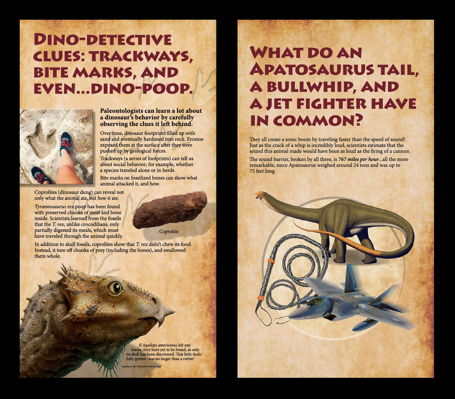 Expedition: Dinosaur (Client: Stage 9 Design)