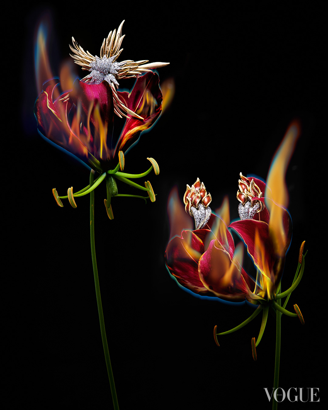 Arte/ Art: Renata Malinosk | Foto/ Photo: Xico Buny | Cenografia/ Set Design: Natalia Miyashiro