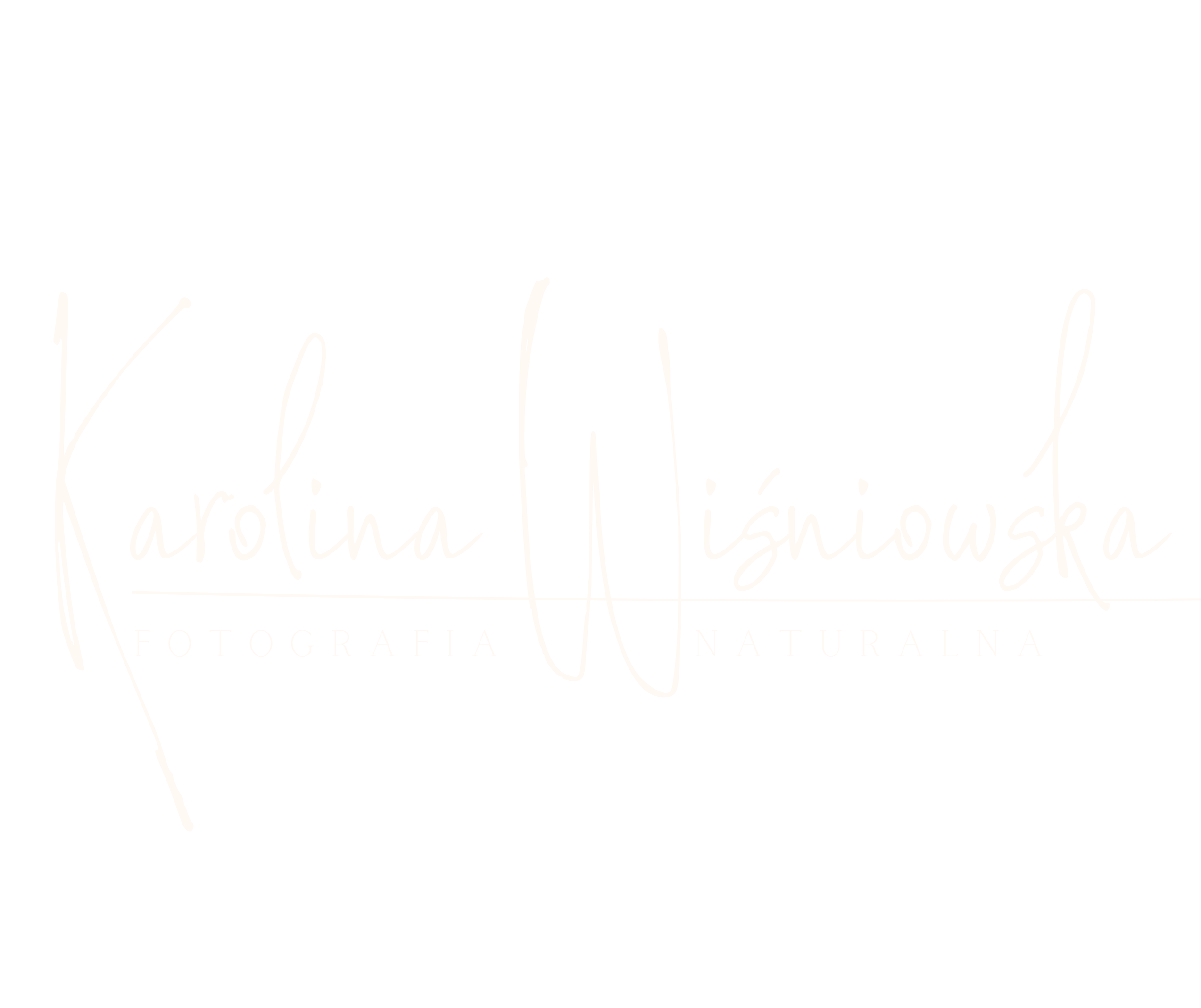 Karolina Wiśniowska
