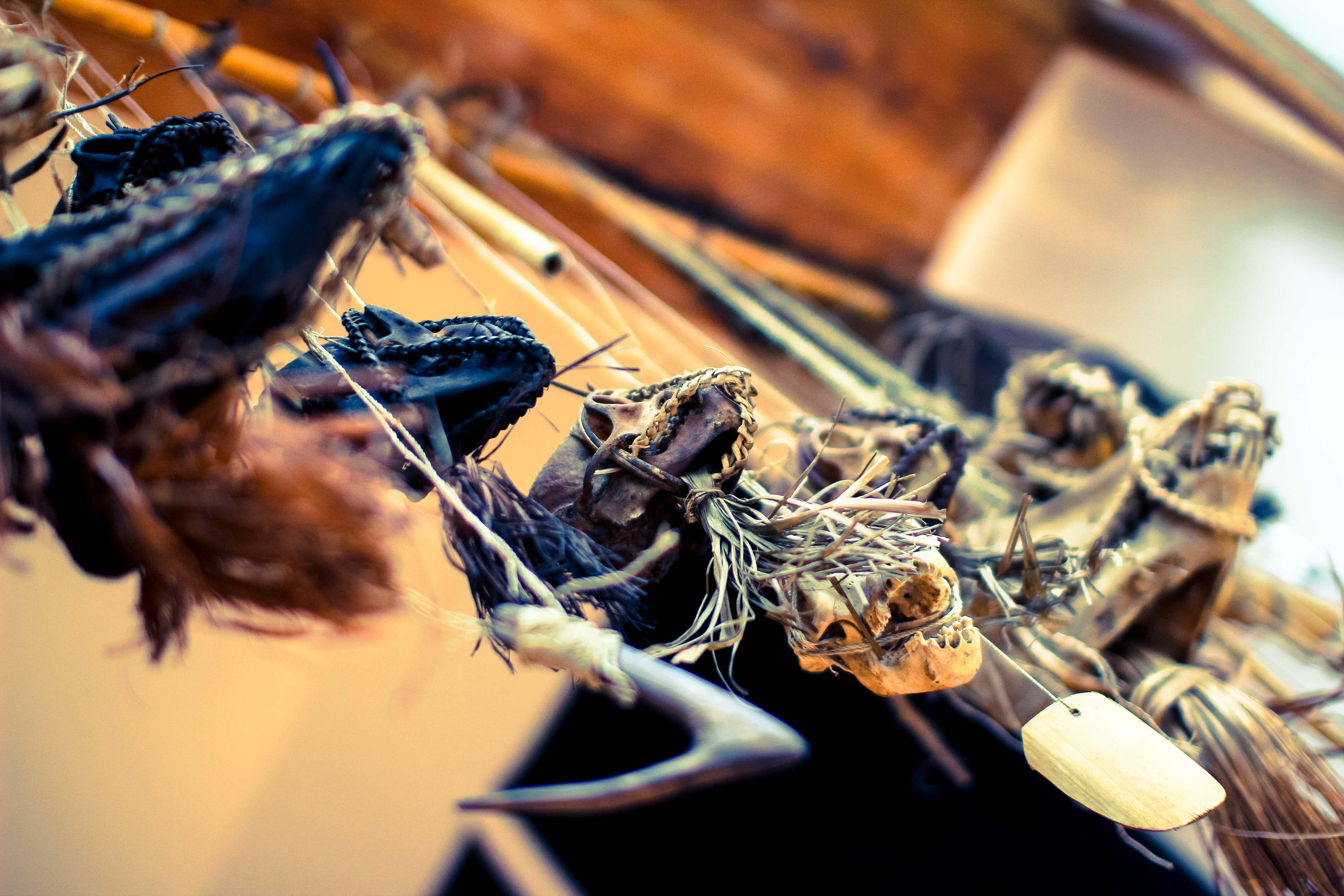 Skulls of animals at Durga Tattoo shop traditionally hanged in the uma a traditional Mentawaian house to please their spirits