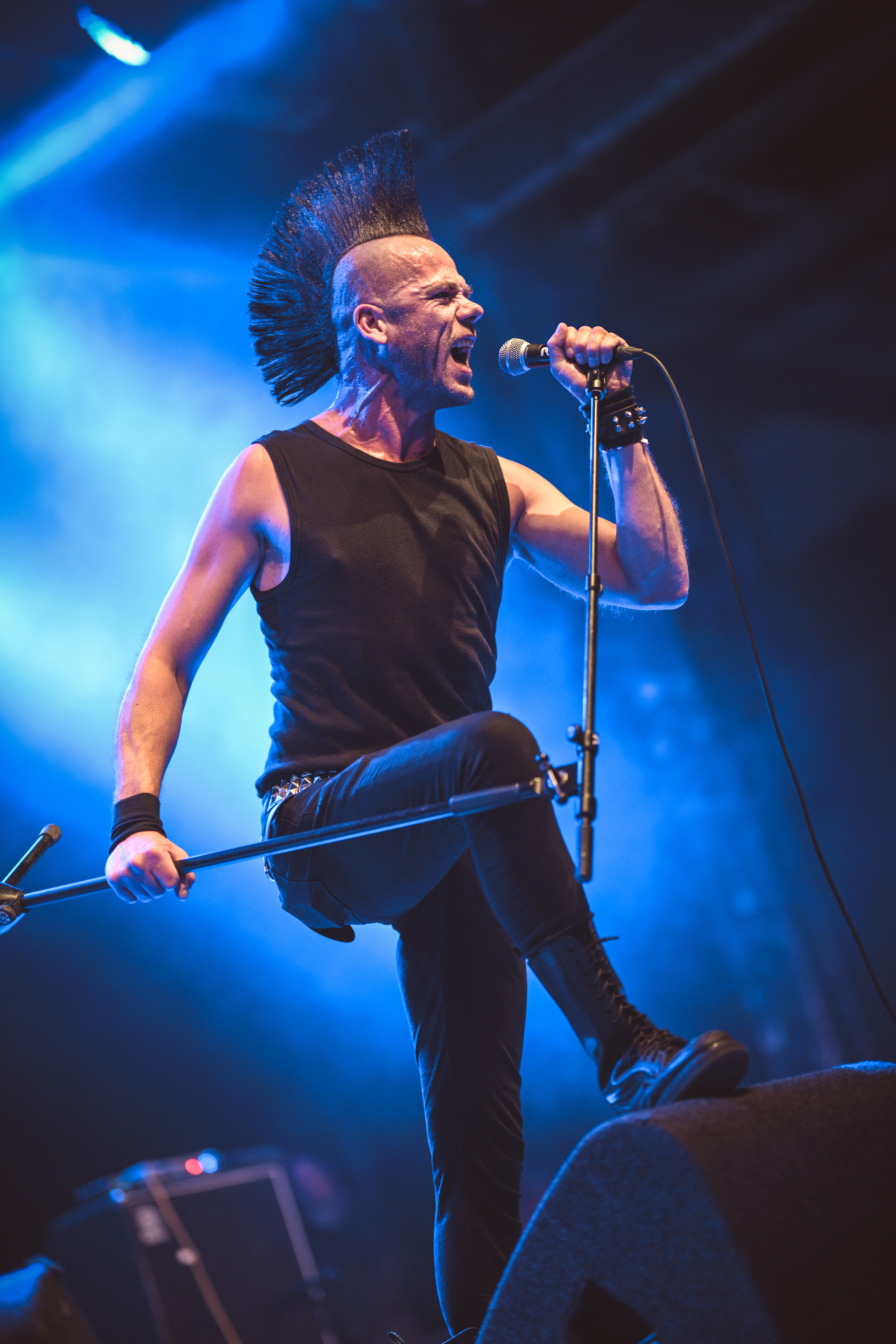 Punk band Disturbance from the Netherlands playing live show at The Sound Of Revolution festival in Eindhoven