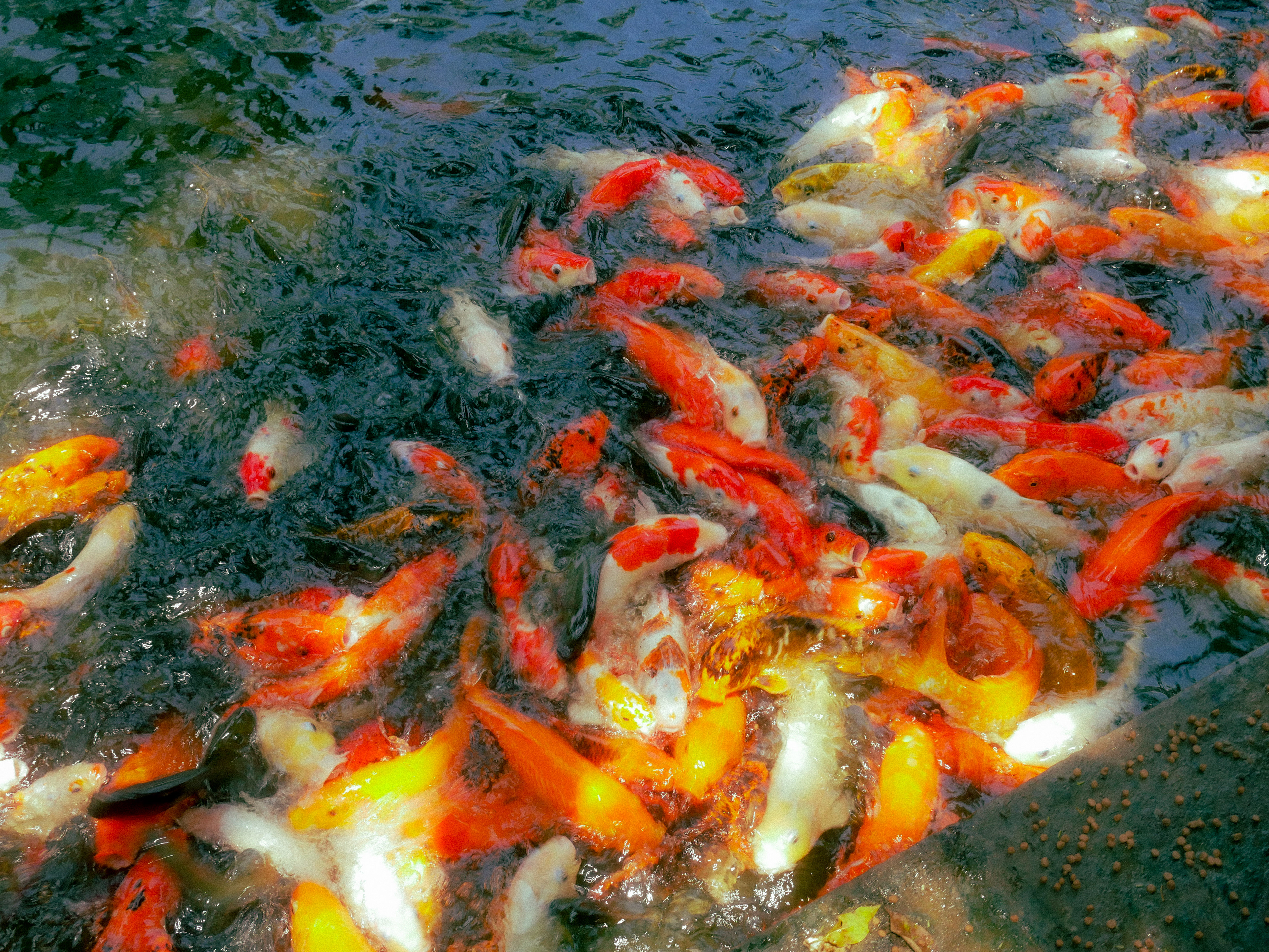 Ninh Binh