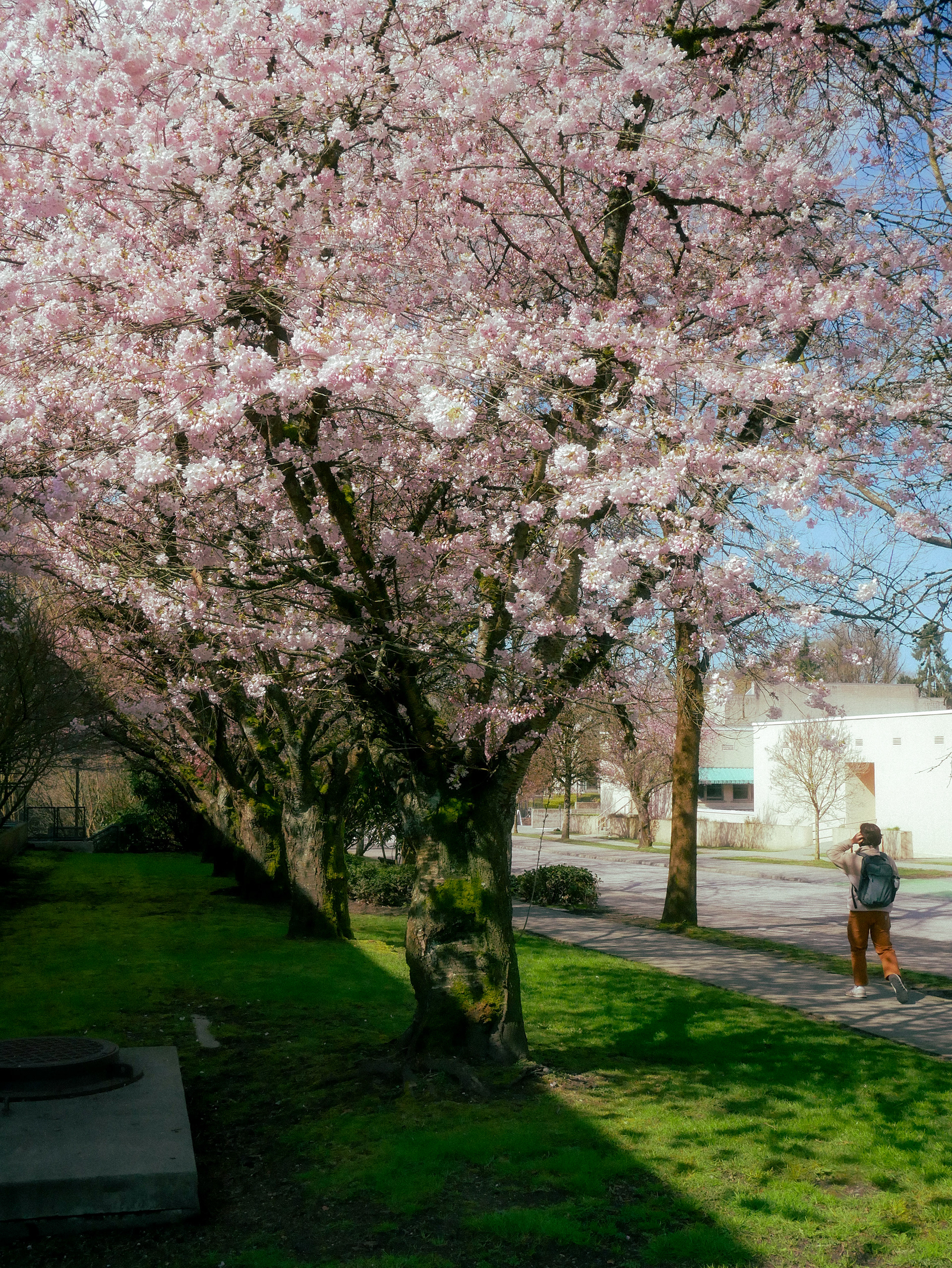 spring '25
