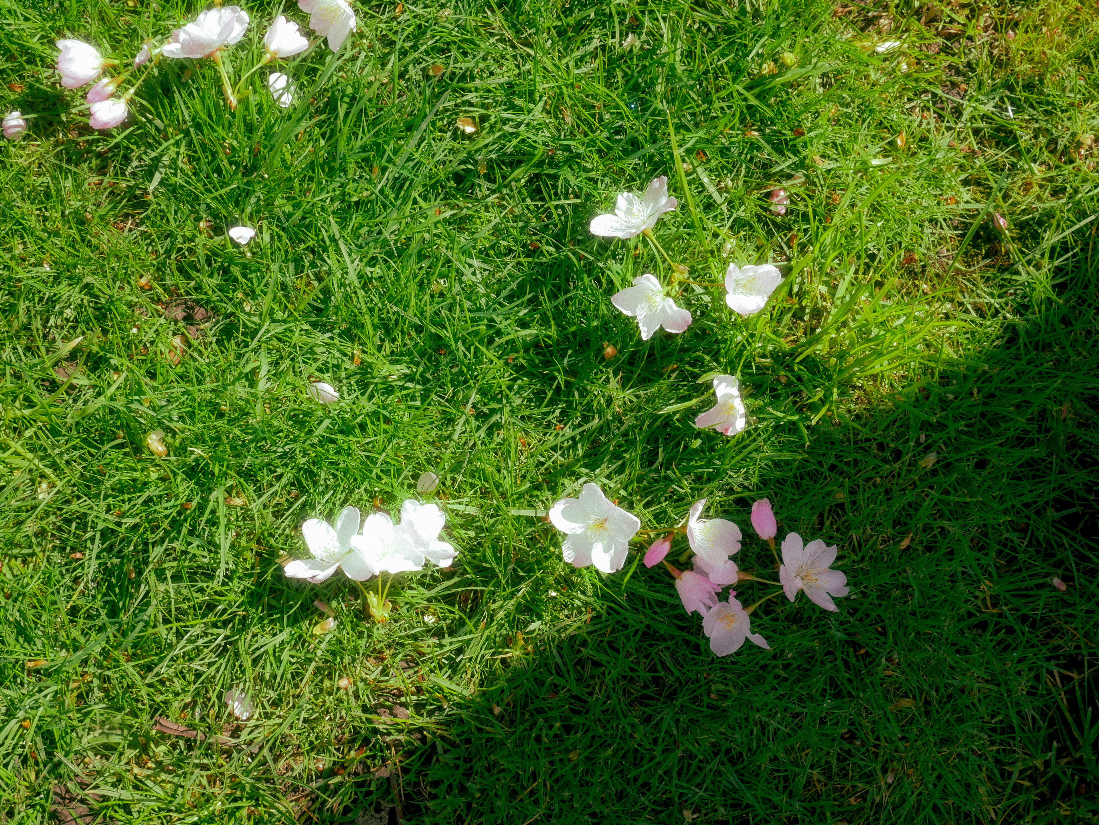 spring '25