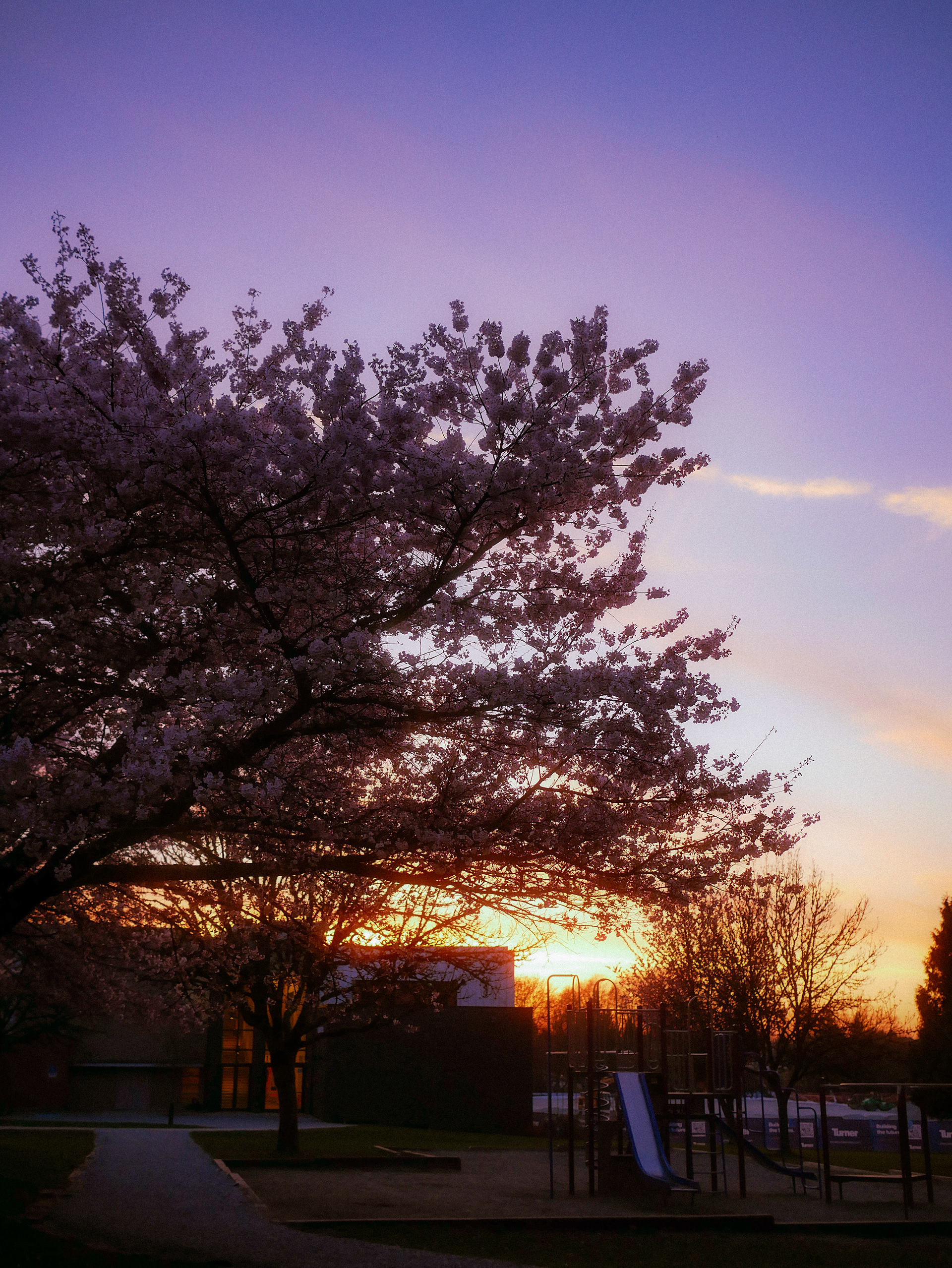 spring '25