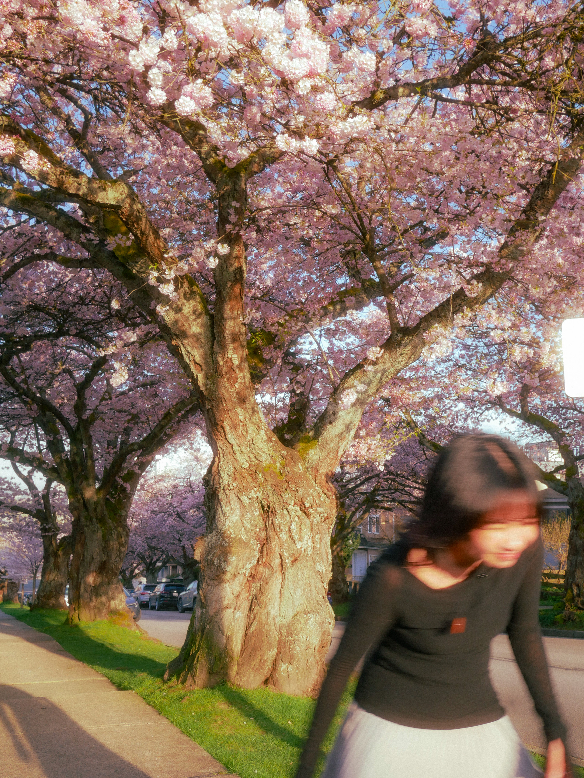 spring '25