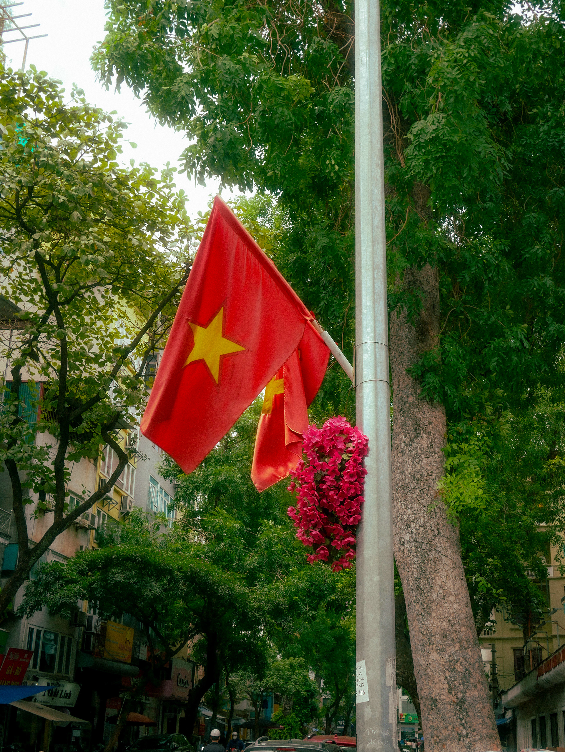 Vietnam Flag