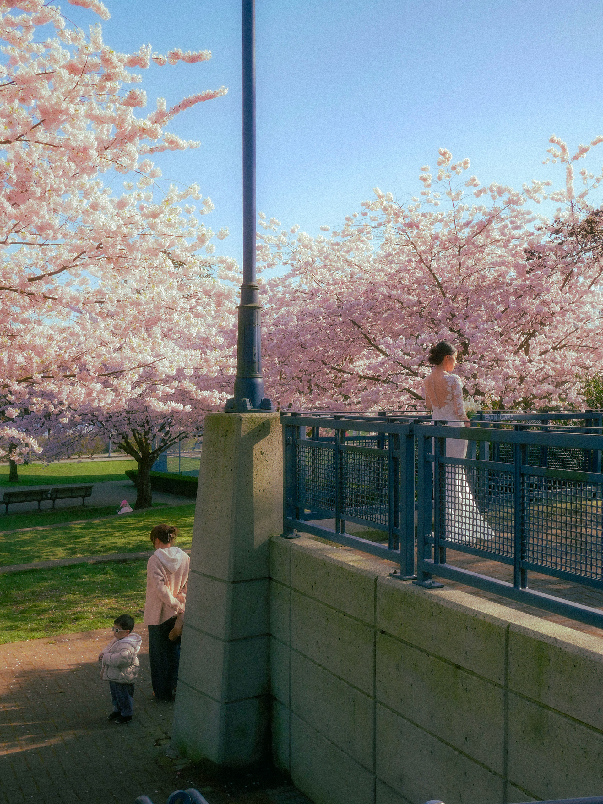 spring '25