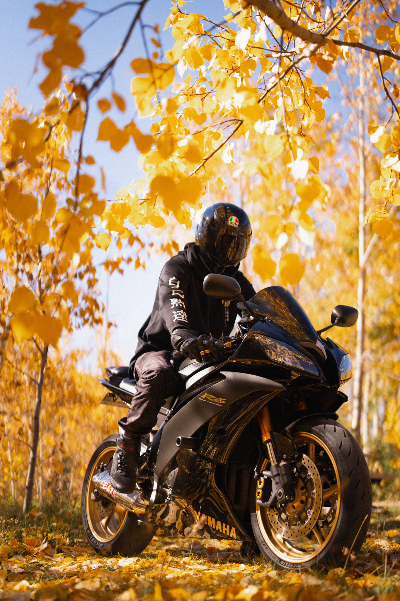 Autumn motorcycle photography in Calgary by Black Rev Studio—rider wearing a black AGV helmet and hoodie sitting on a matte black Yamaha R6 sportbike surrounded by fall leaves.