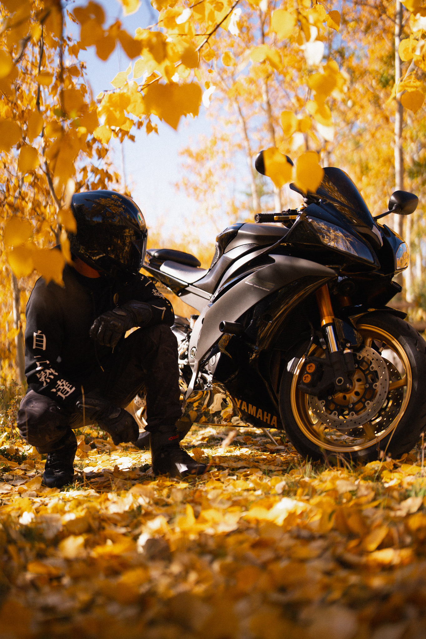 Autumn motorcycle photography in Calgary by Black Rev Studio—rider wearing a black AGV helmet and hoodie sitting on a matte black Yamaha R6 sportbike surrounded by fall leaves.