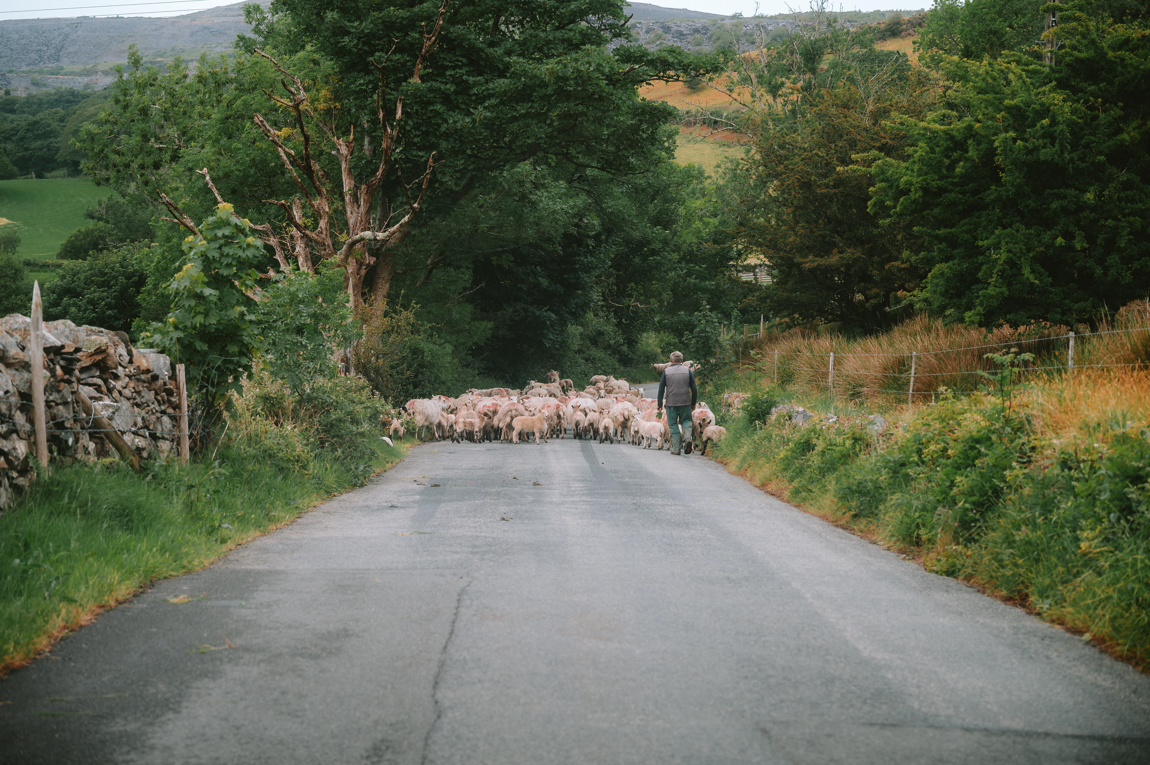 Wales 