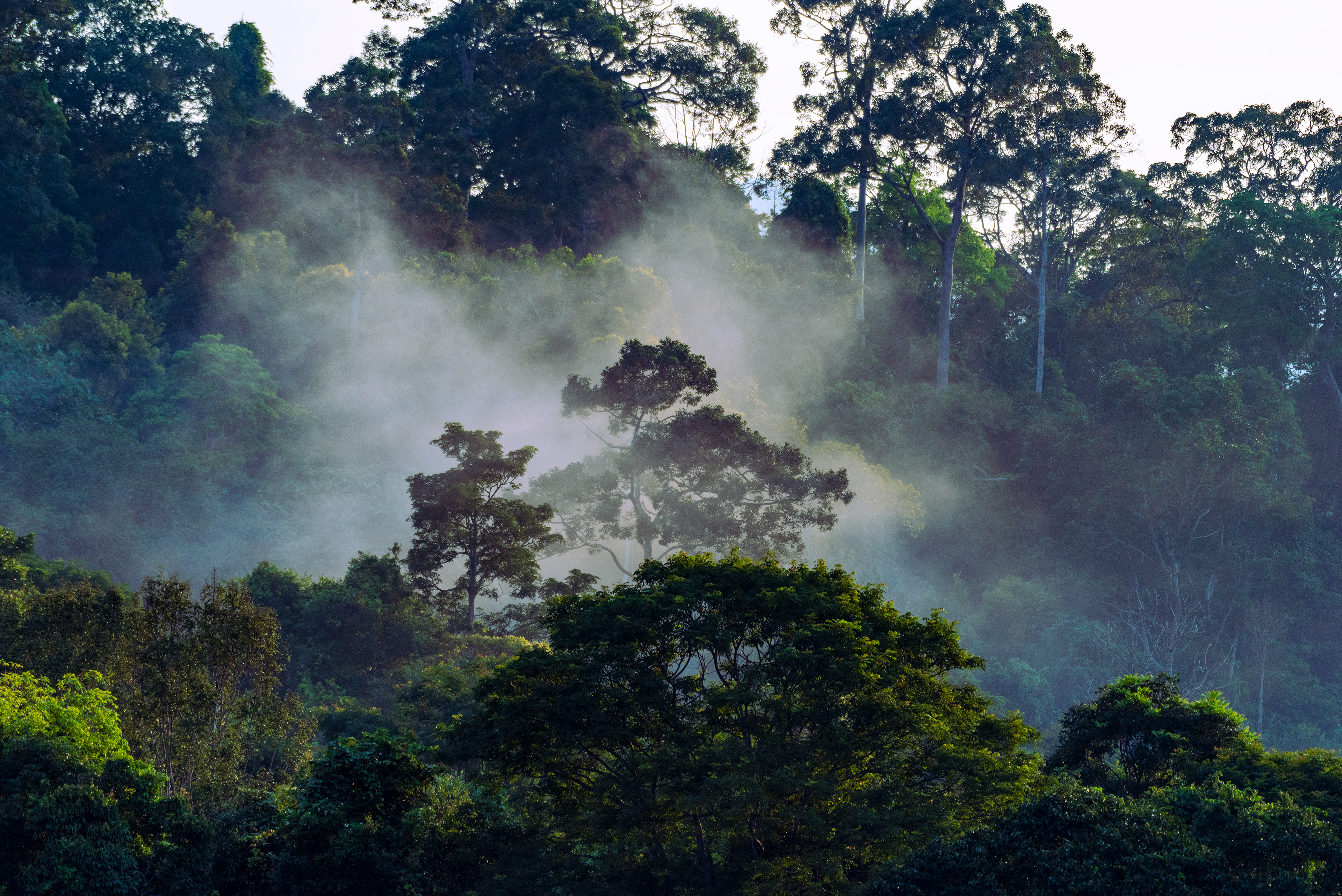Khao Yai National Park
