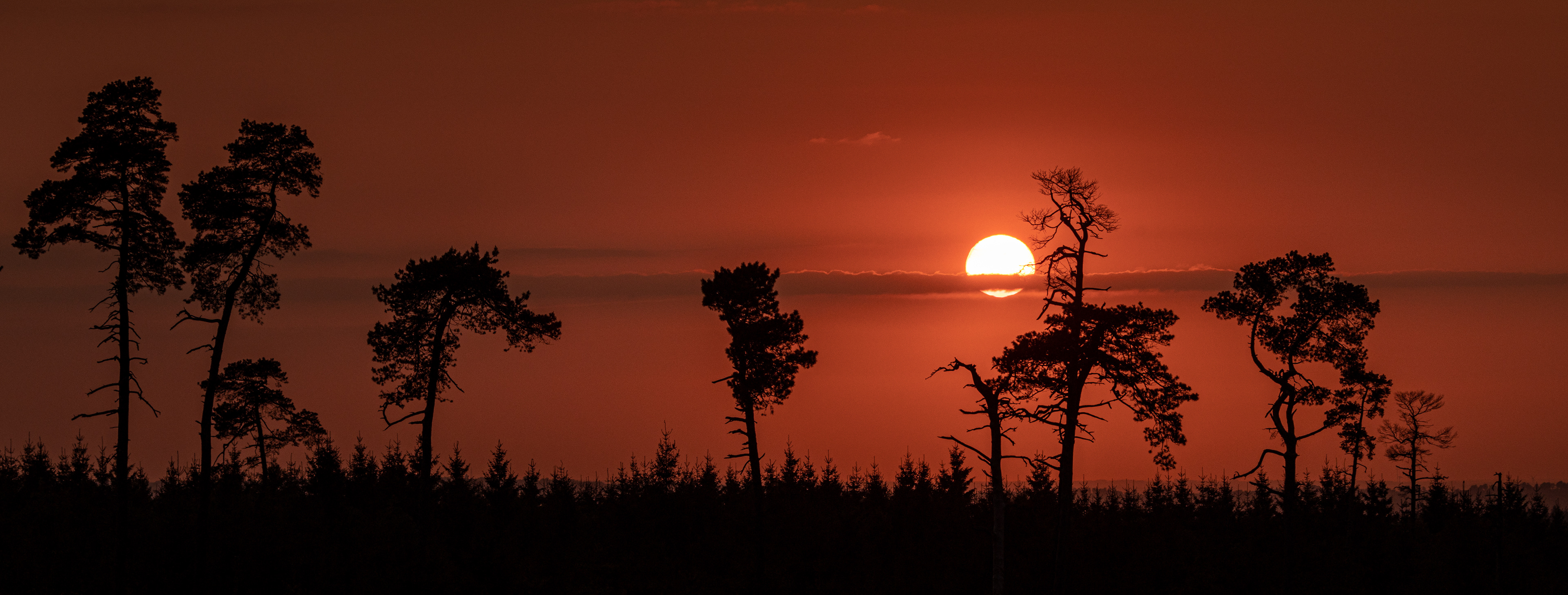 Zonsondergang hoge venen, David Van den Broeck