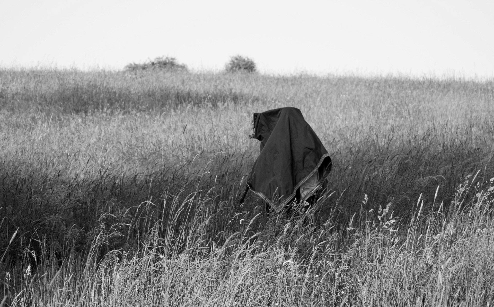 Fot. Agata Ernestowicz