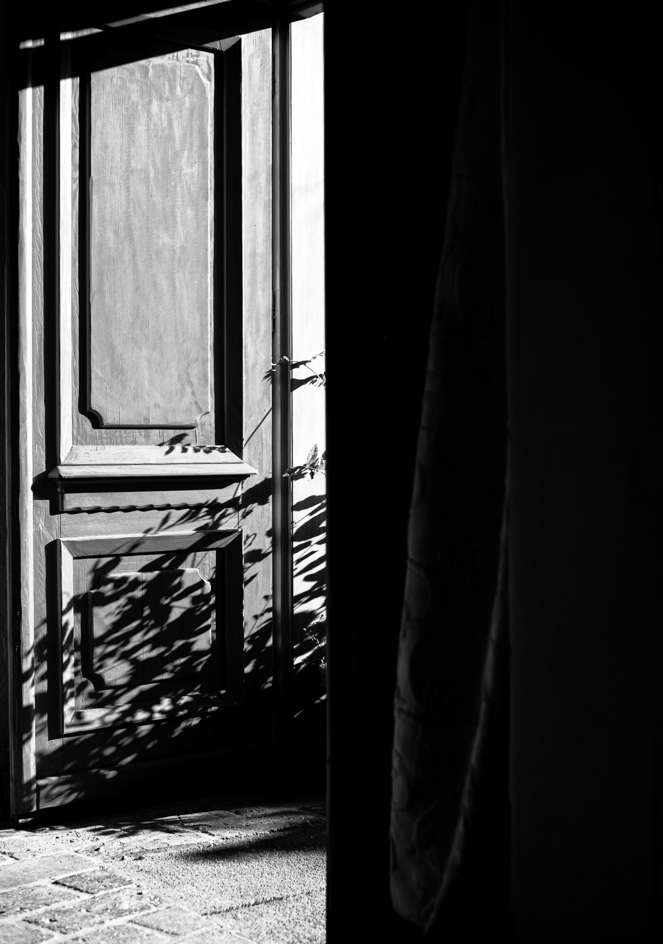 Fot. Katarzyna Janota