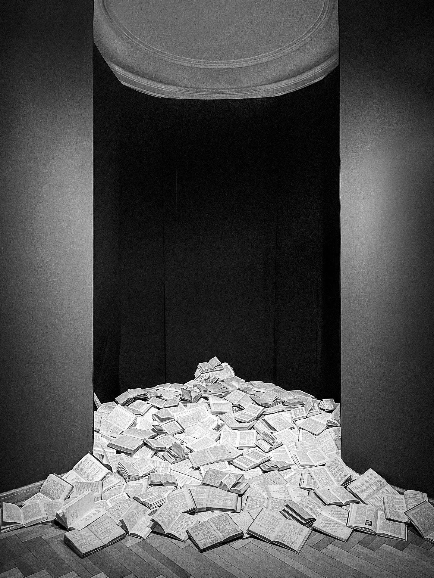 Fot. Kamil Myszkowski
