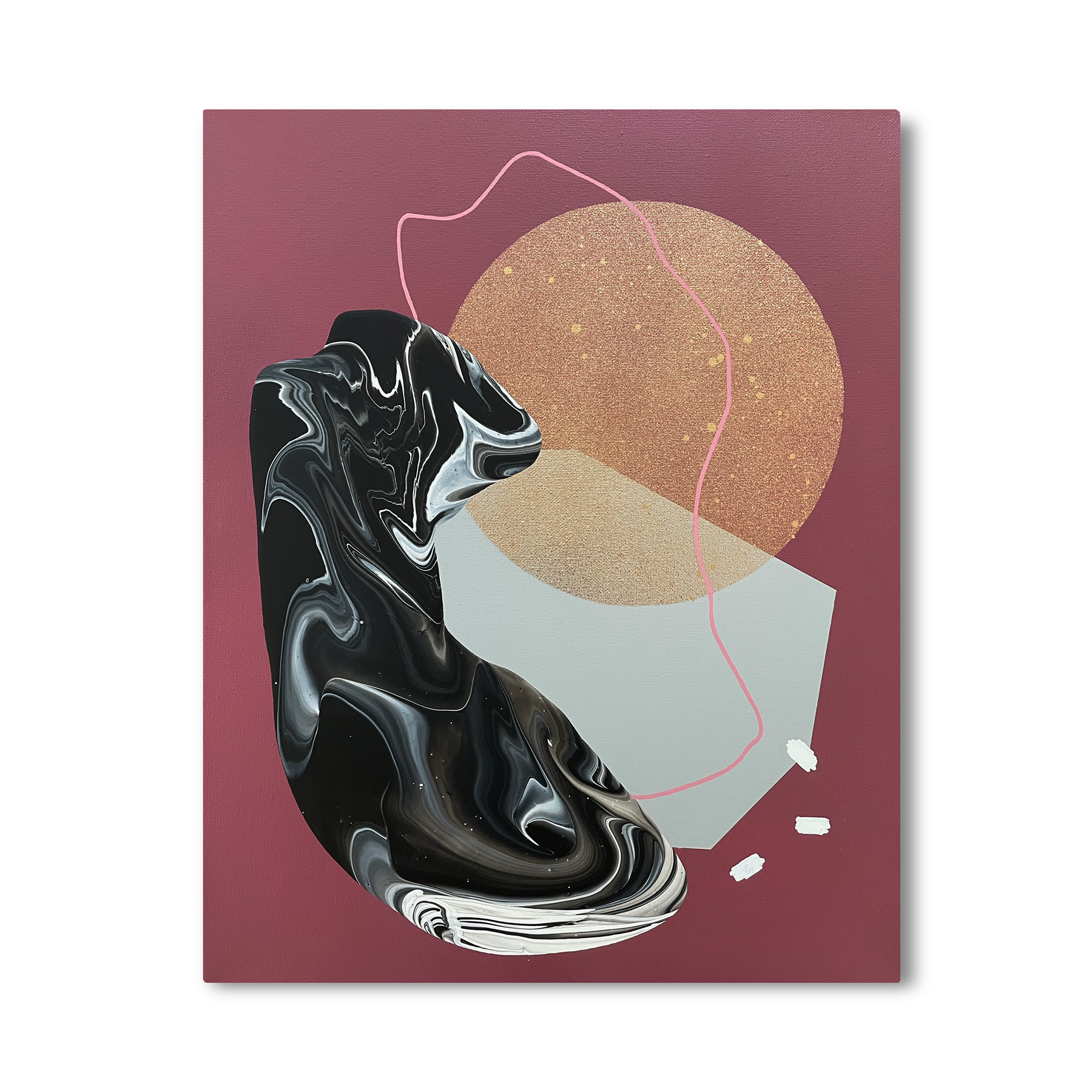 Black fox / Černá liška