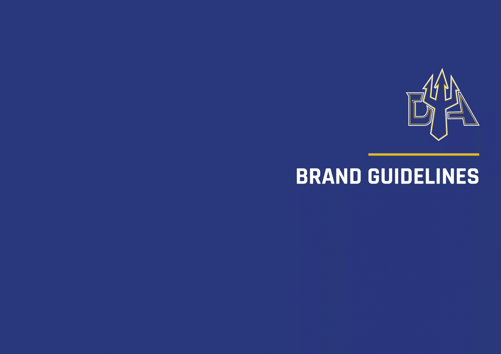 Brand Guidelines Document