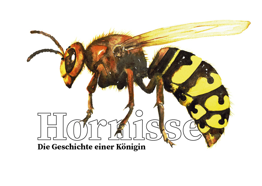 Postkarte