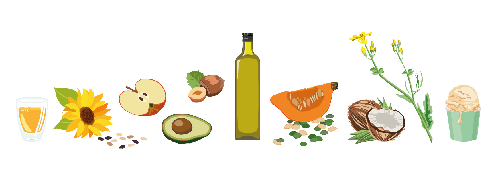 Grafiken für das Ketogene Kochbuch