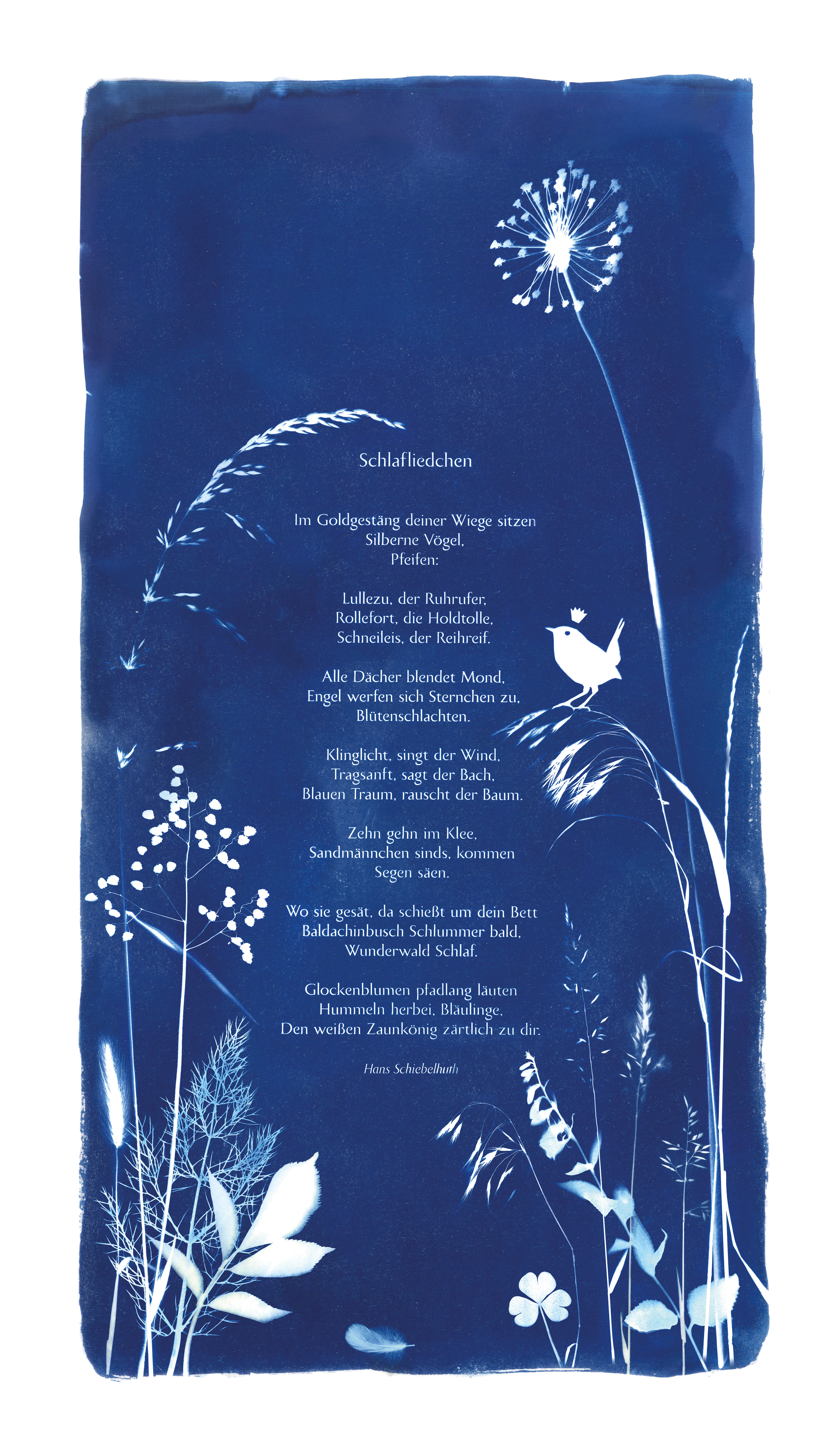 Collage aus Cyanotypien