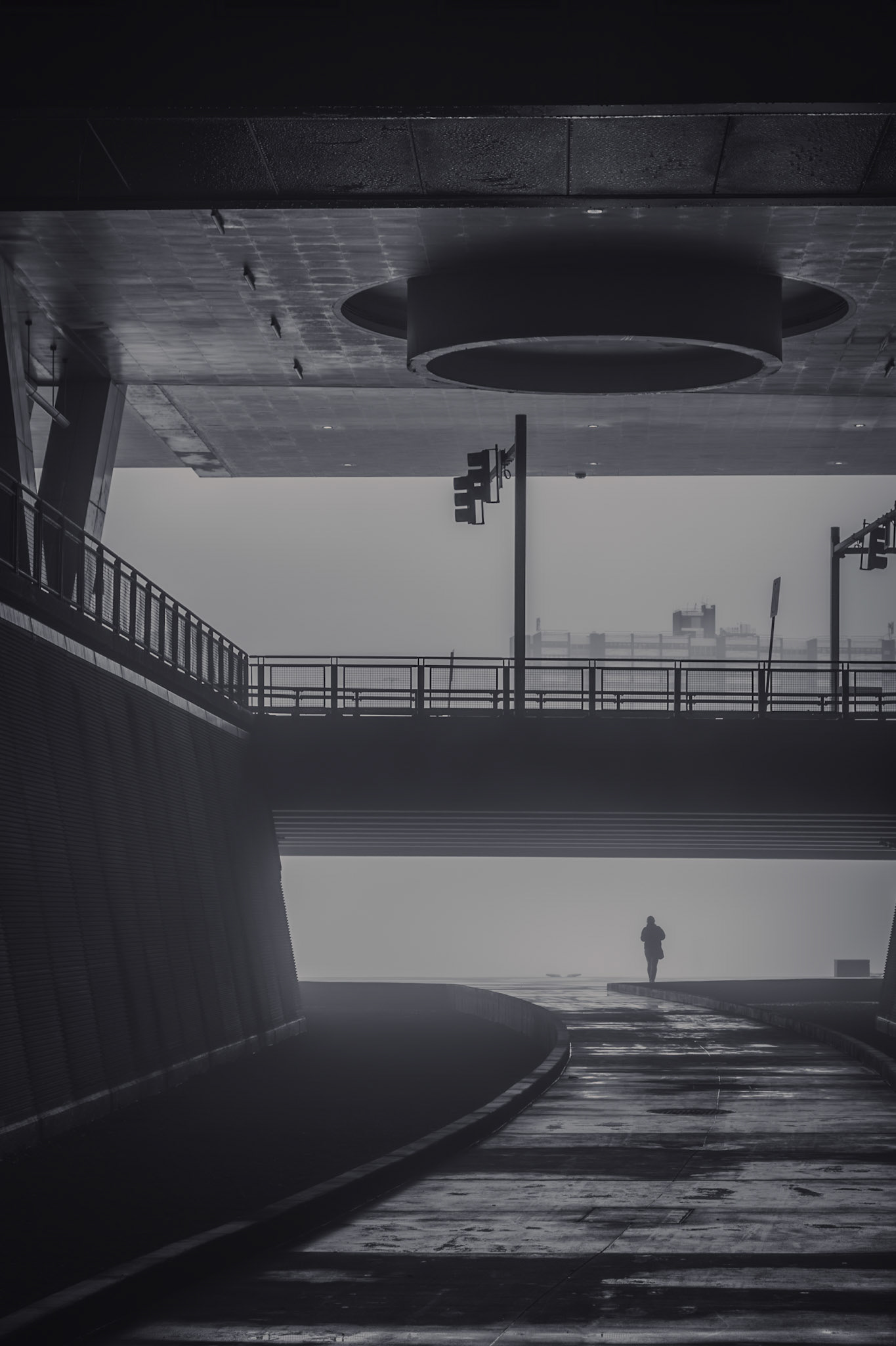 The city swallows sound, holds its breath in concrete and steel. Beneath layers of overpasses and shadows, the lone figure moves forward—small against the weight of the structure, yet certain in their step. The road curves, wet with the memory of rain, reflecting faint echoes of light.Beyond, a pale fog swallows the horizon, offering neither answers nor endings—only the quiet pull of an unknown destination. Is this an escape or an arrival? A threshold or a descent? The city does not say. It only watches, as it always has, as another shadow moves through its veins.