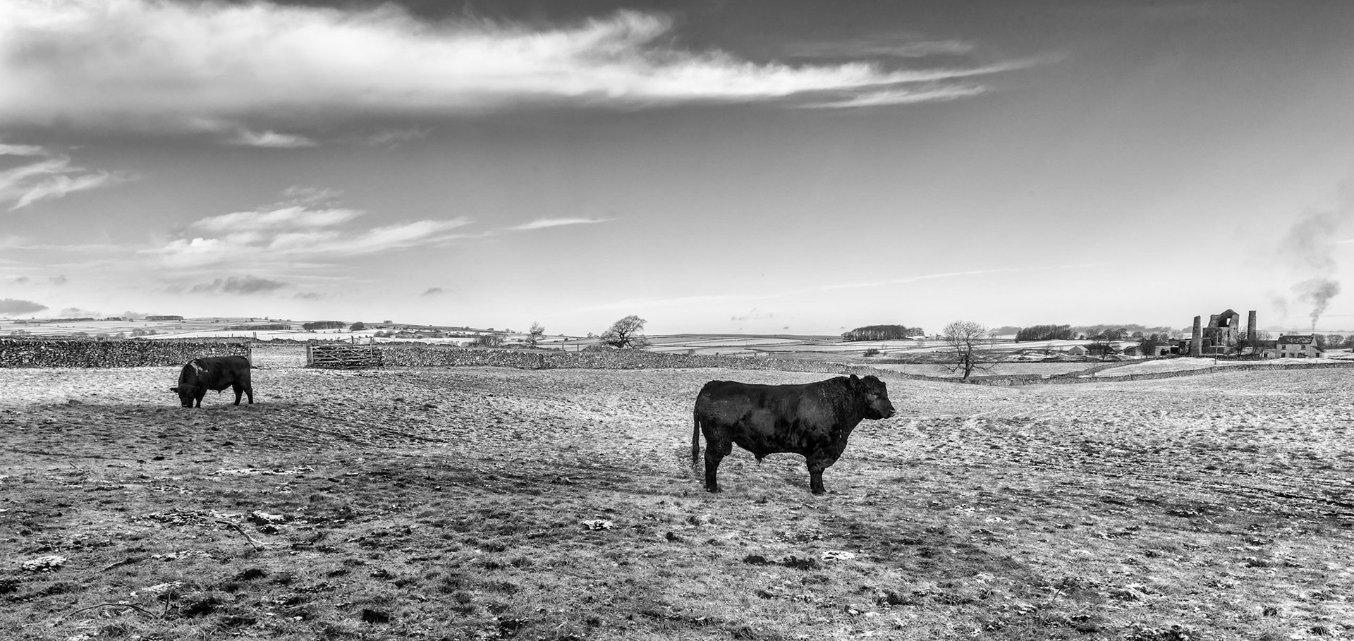 © David Boardman