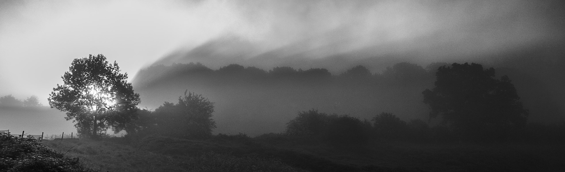 © David Boardman