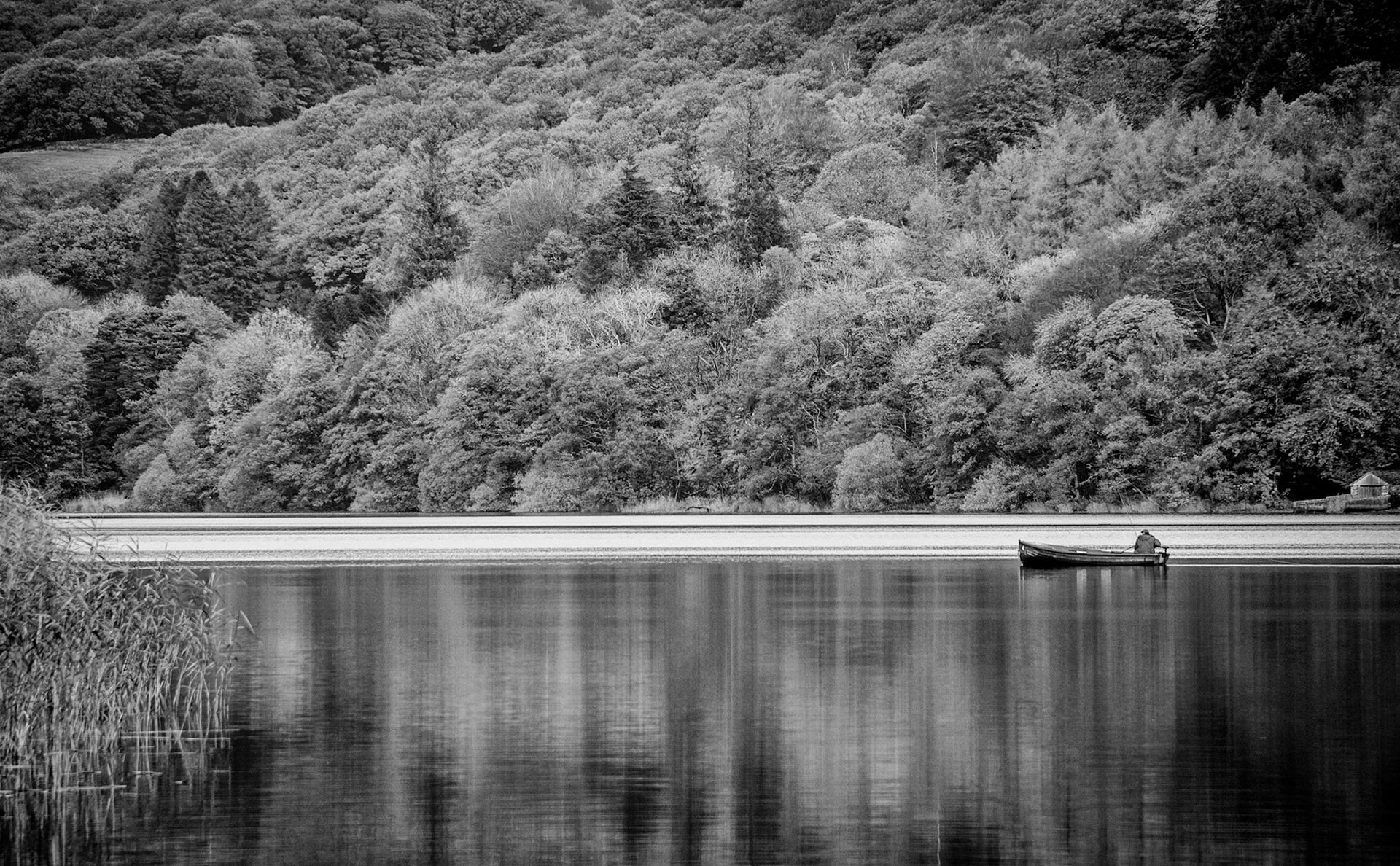 © David Boardman