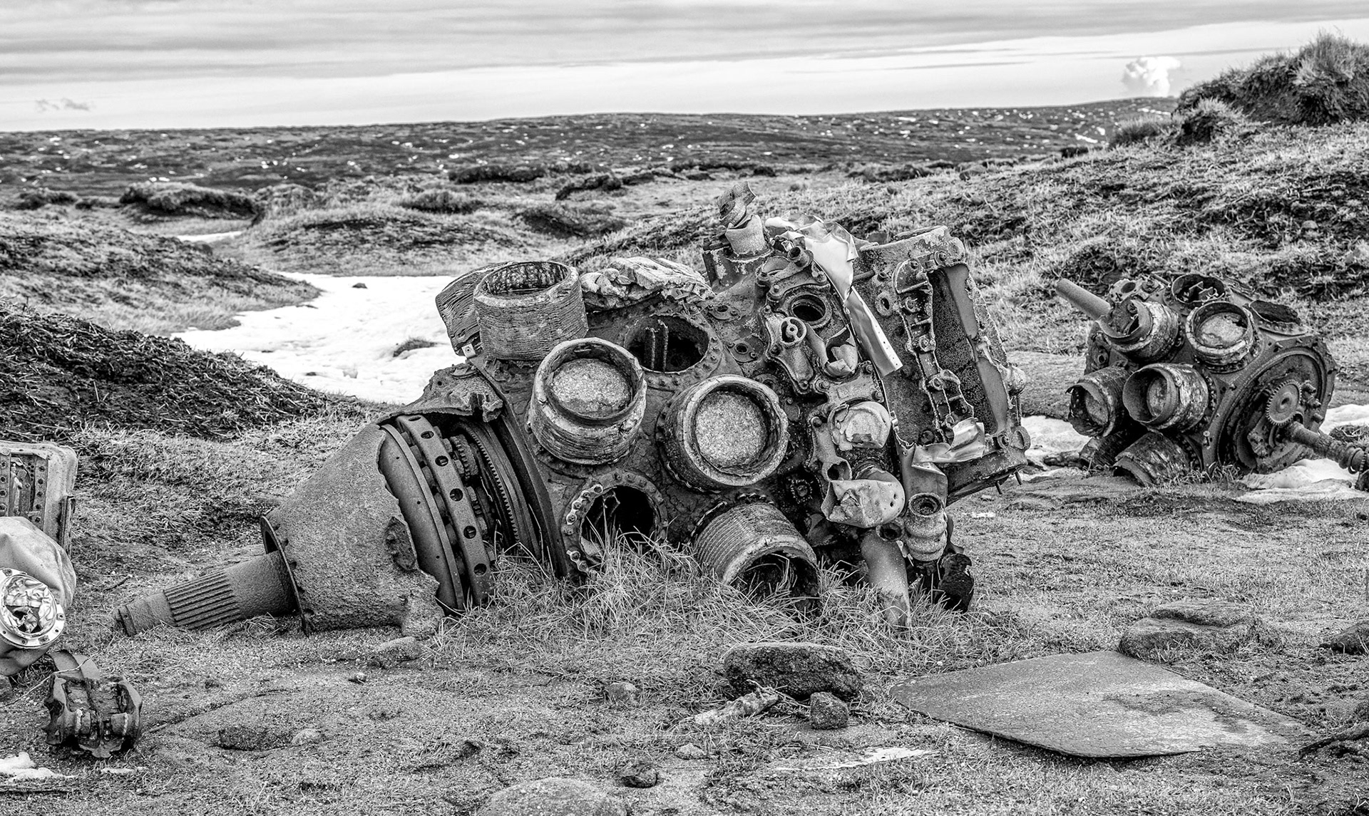 © David Boardman