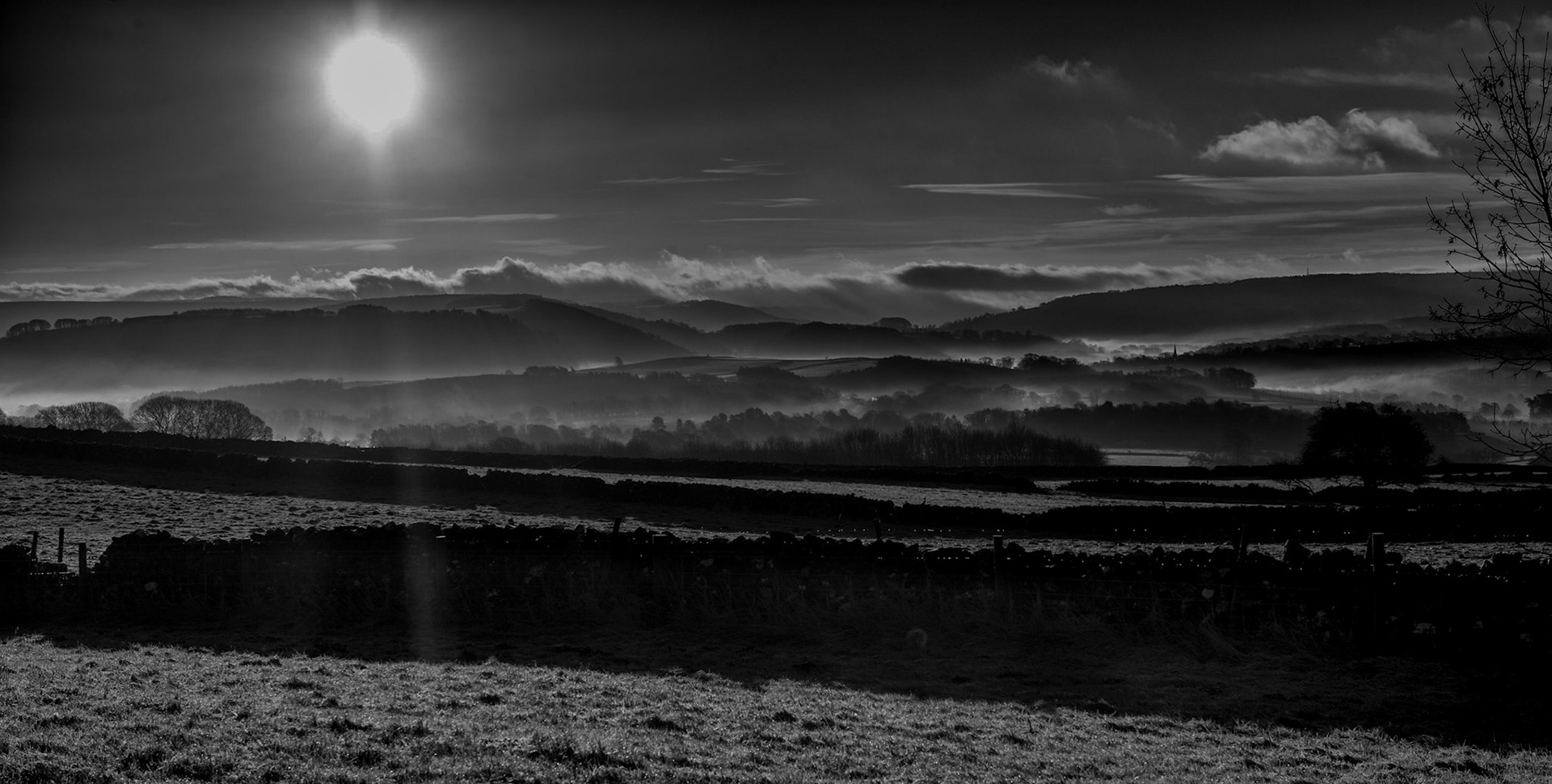 © David Boardman