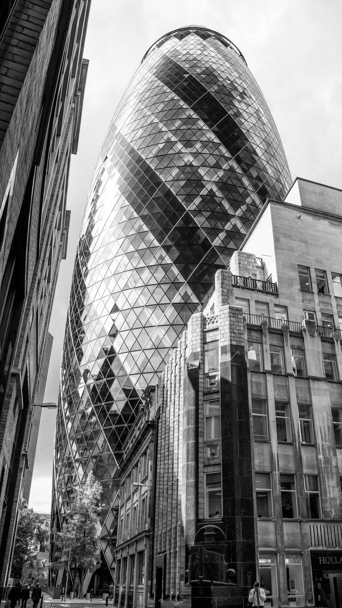 © David Boardman
