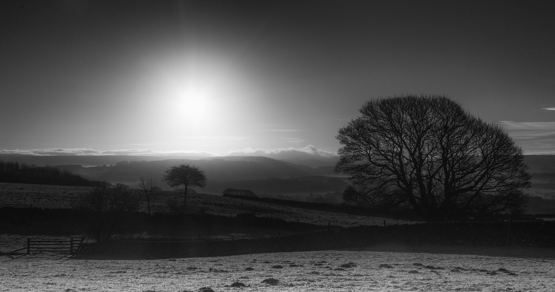 © David Boardman