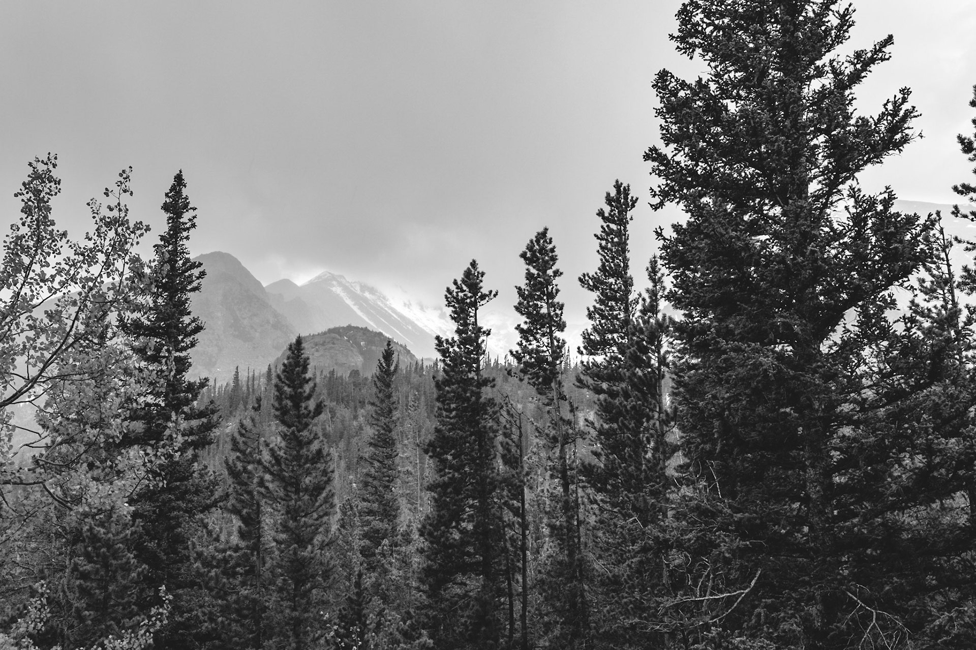 A Soft View of the Mountains in Black &amp; White