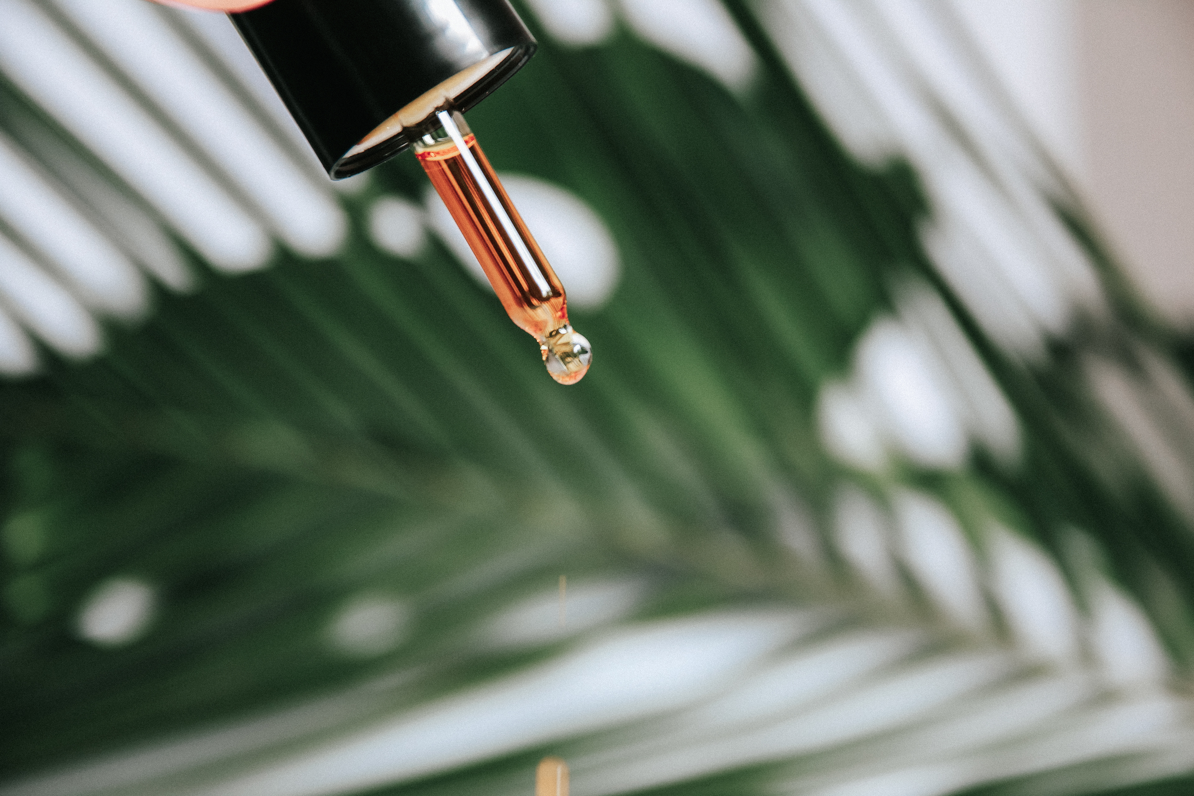 Moisturizing Face Oil