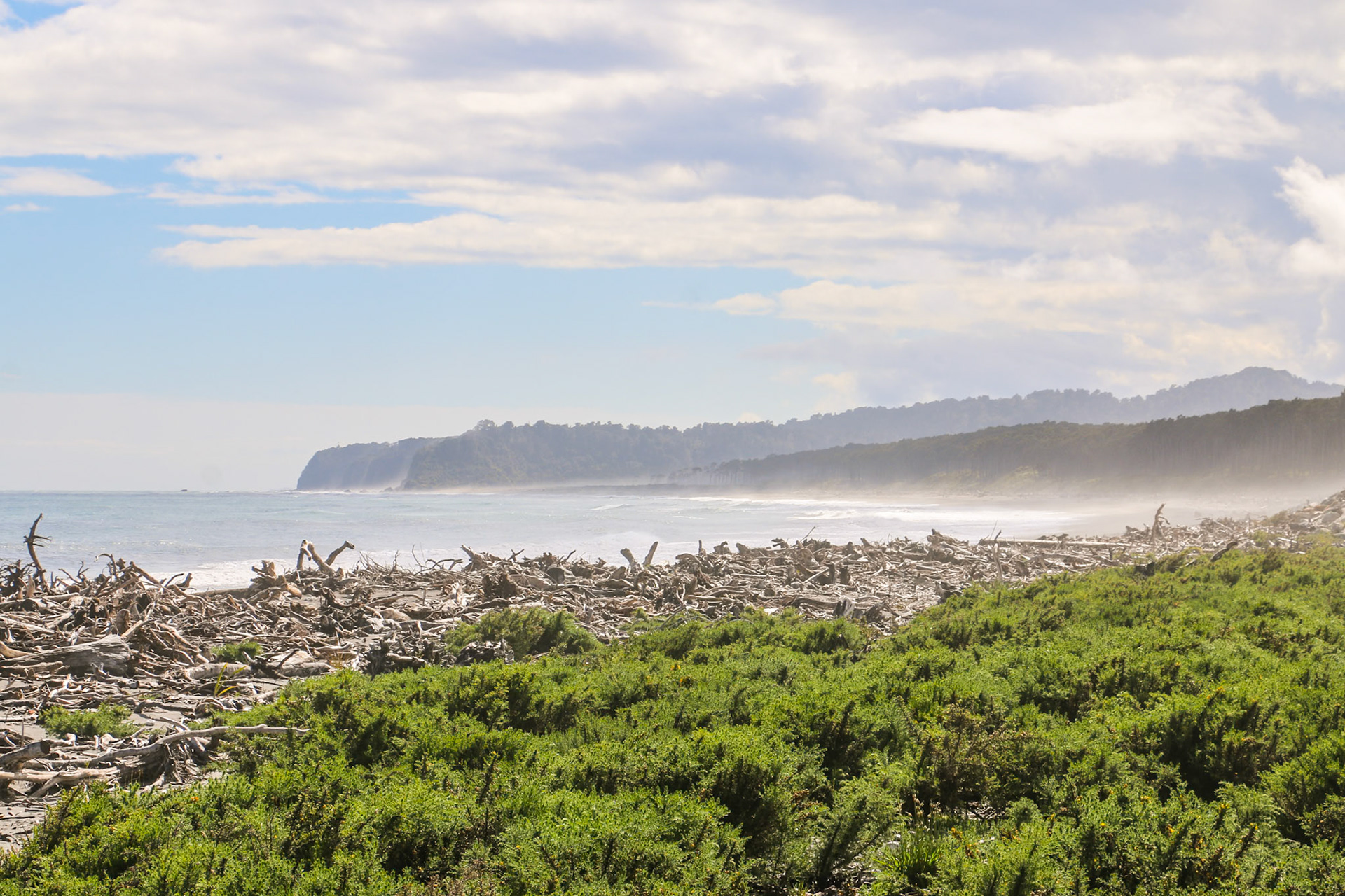 Bruce Bay, South Island, New Zealand