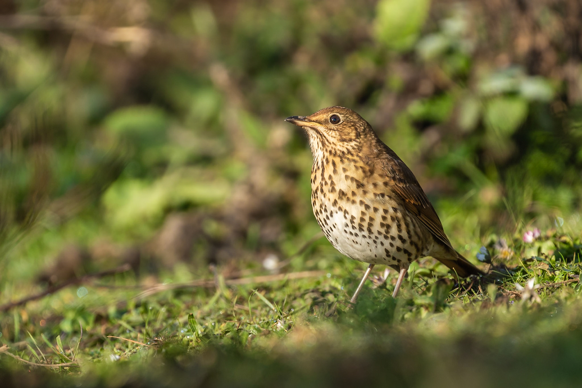London, United Kingdom