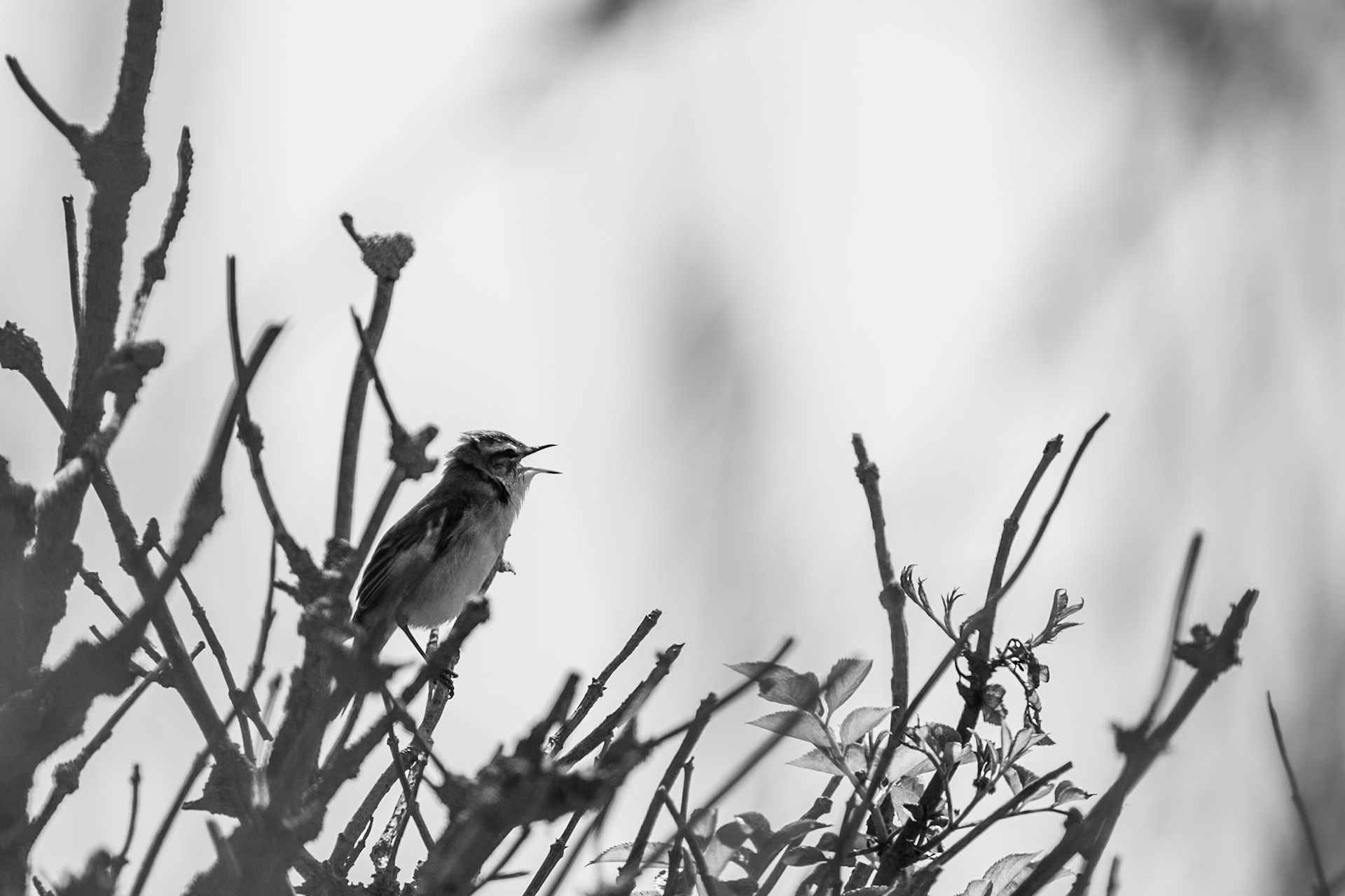 Norfolk, United Kingdom