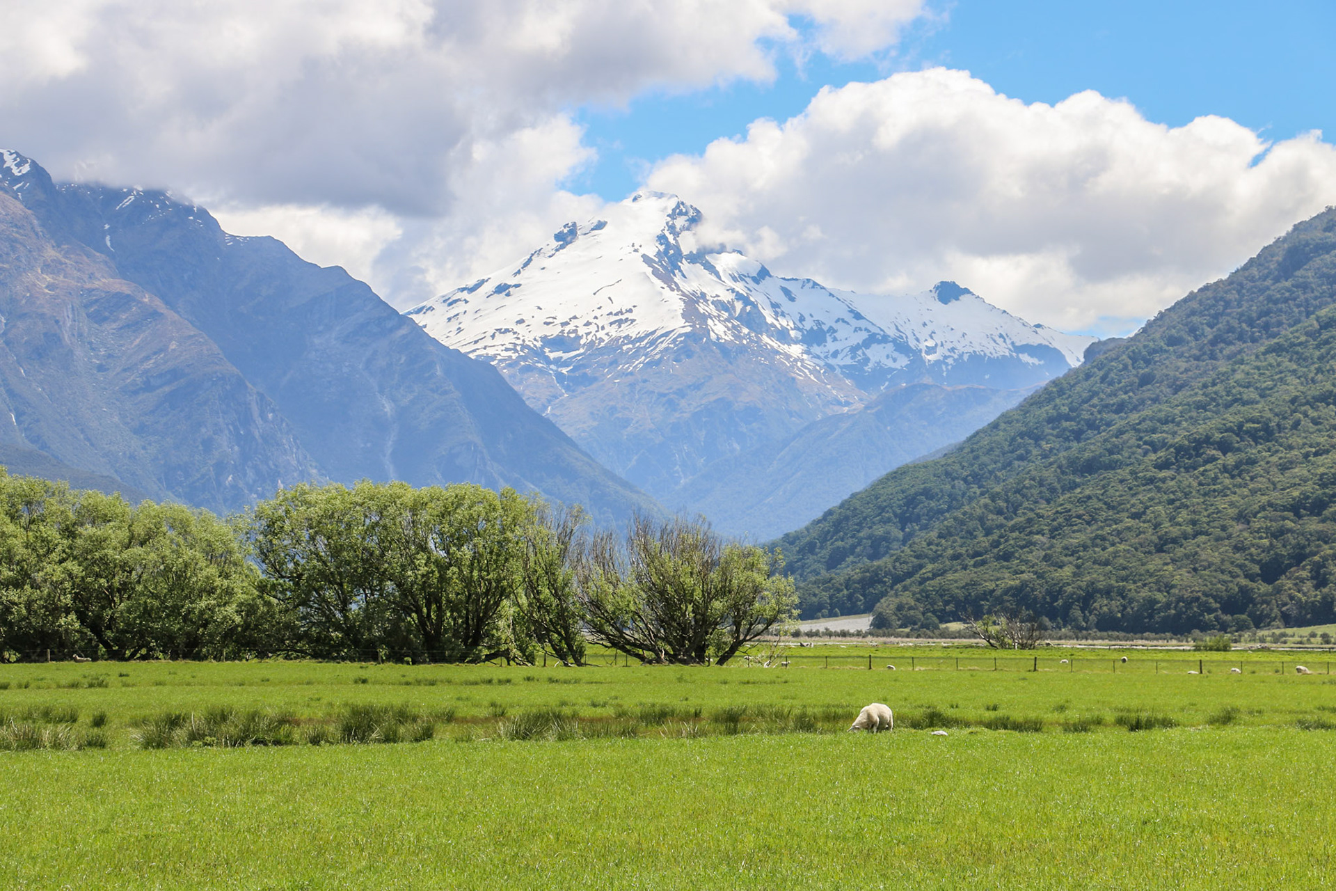 Beautiful mountain background in Makarora, South Island, New Zealand