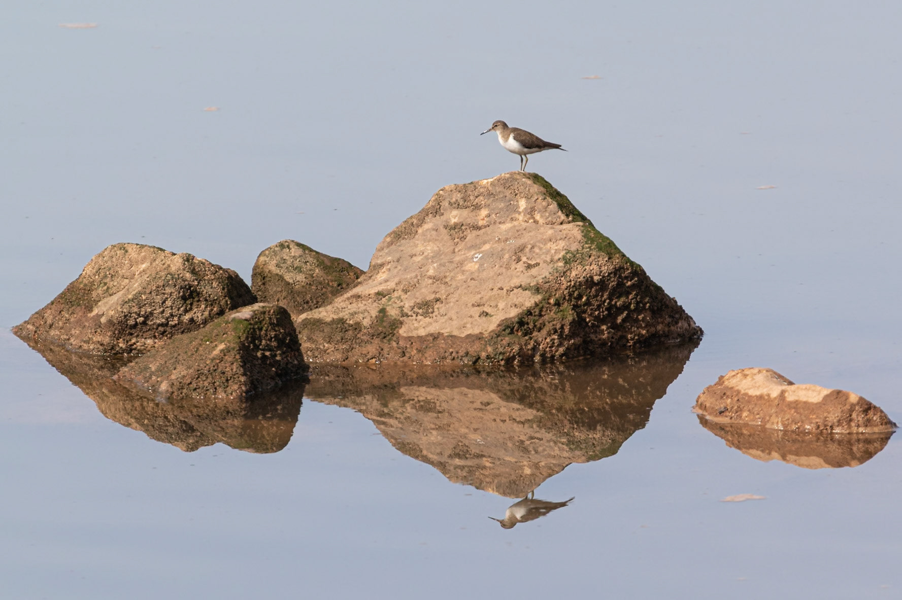 Souss-Massa National Park, Morocco