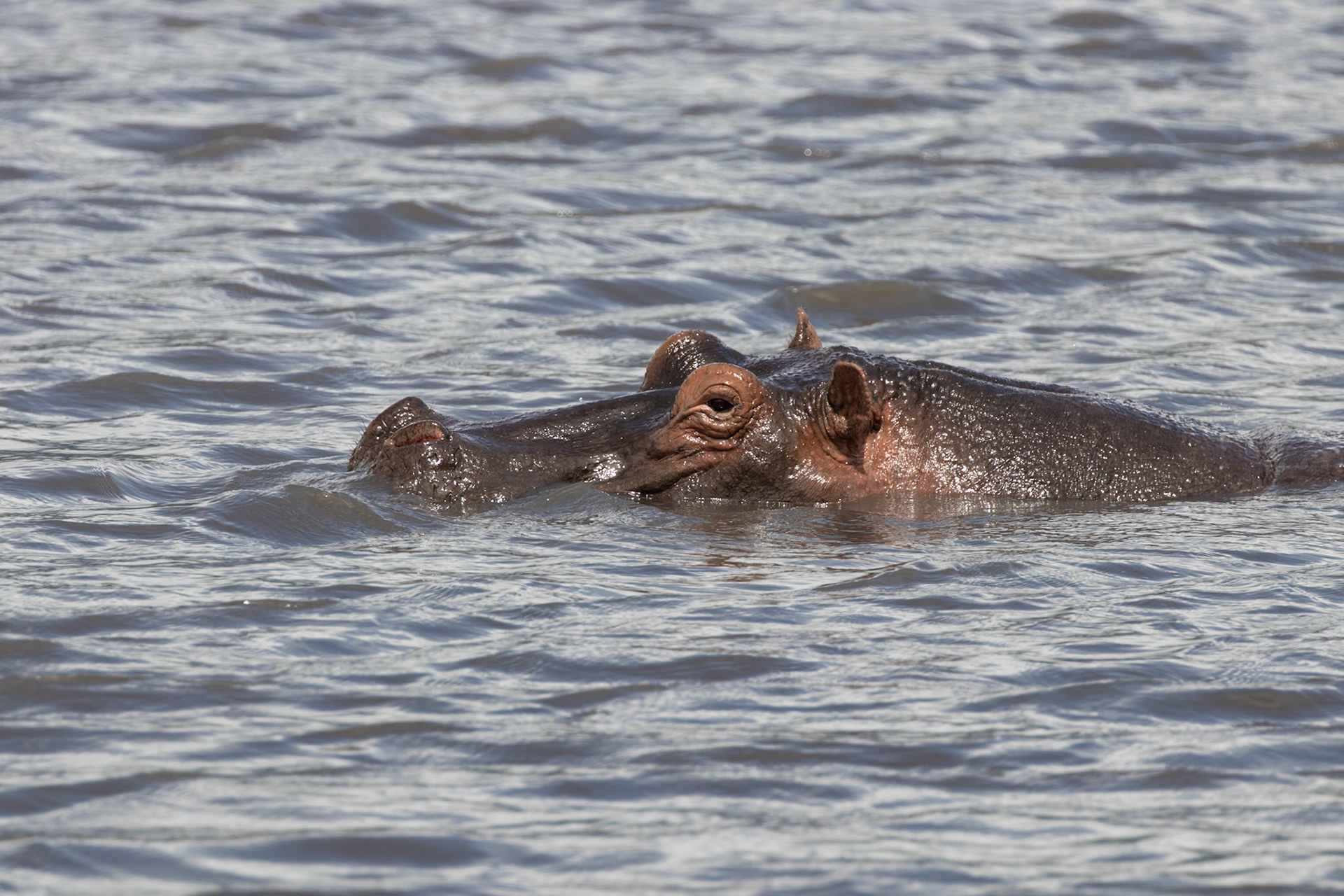 Ngorongoro National Park, Tanzania