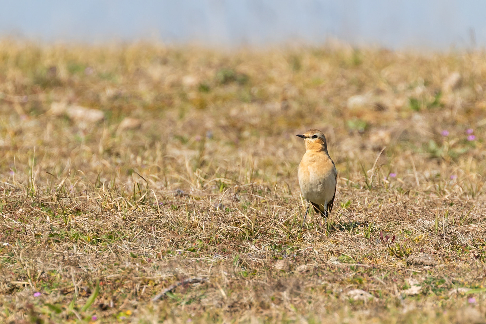 Norfolk, United Kingdom