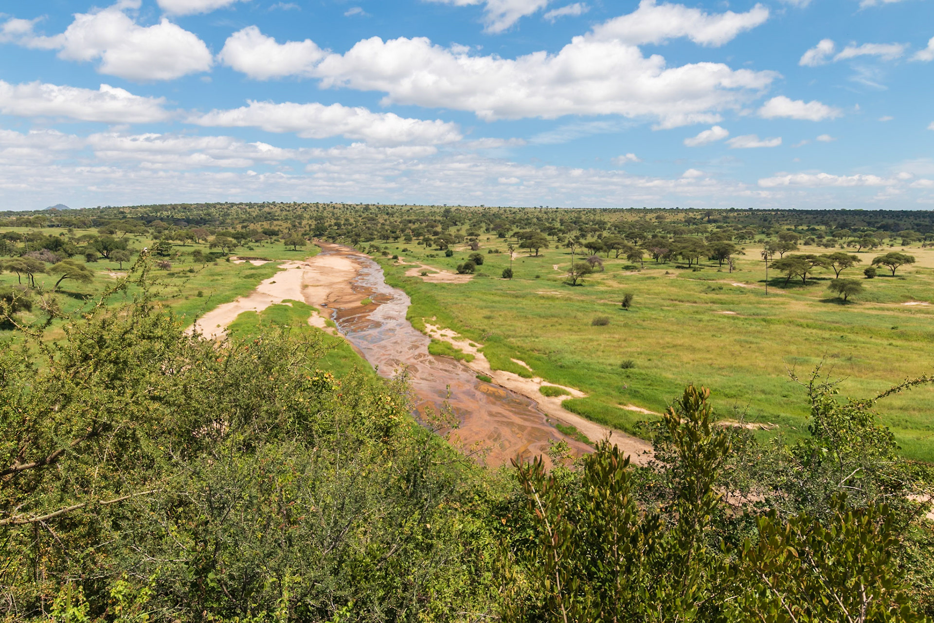 Tarangire National Park, Tanzania