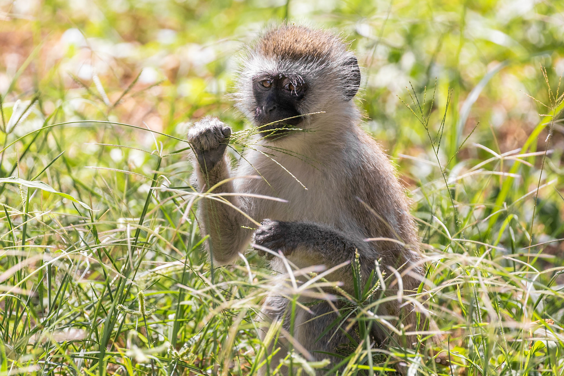 Tarangire National Park, Tanzania