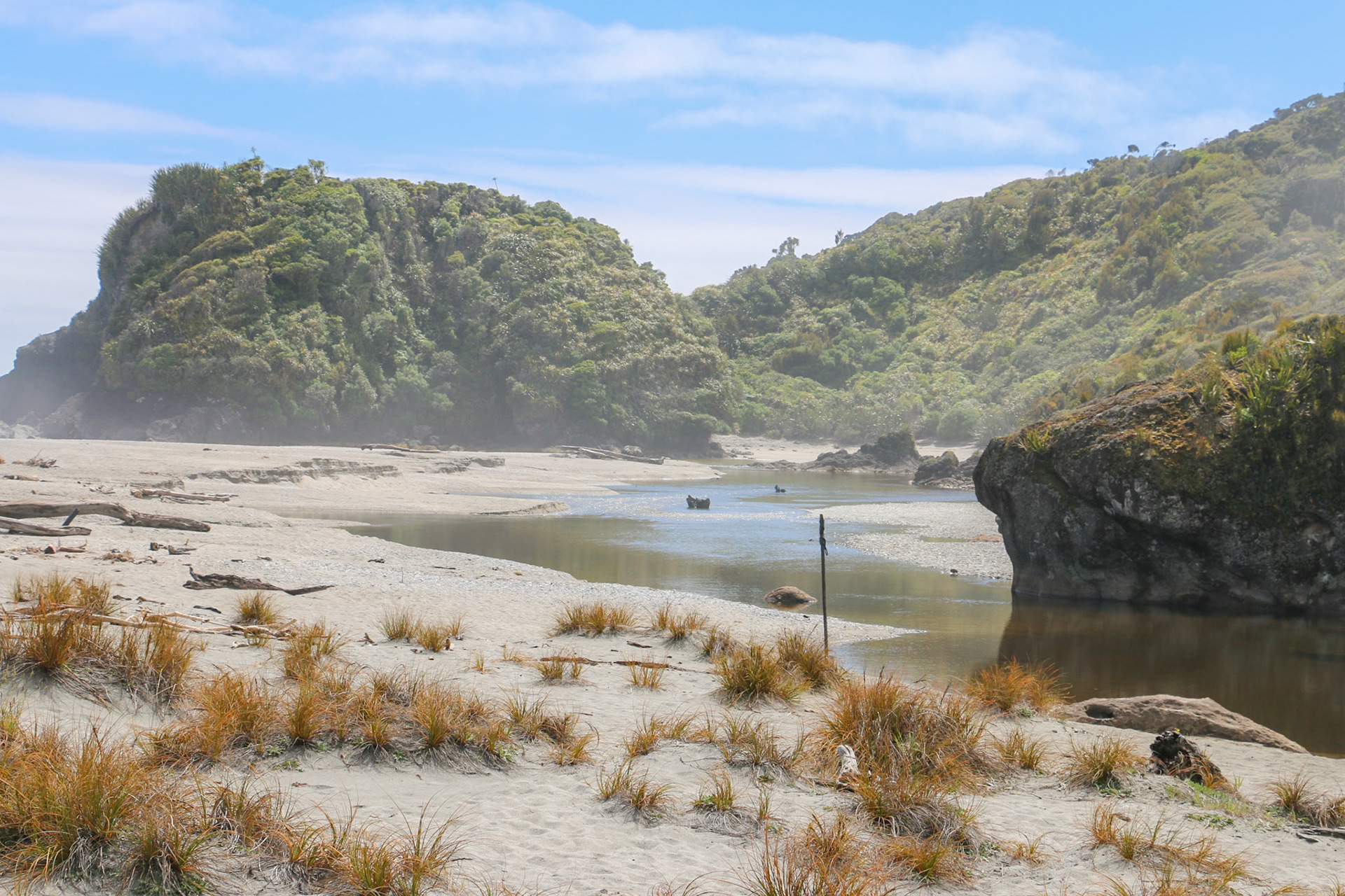 Ship Creek, South Island, New Zealand