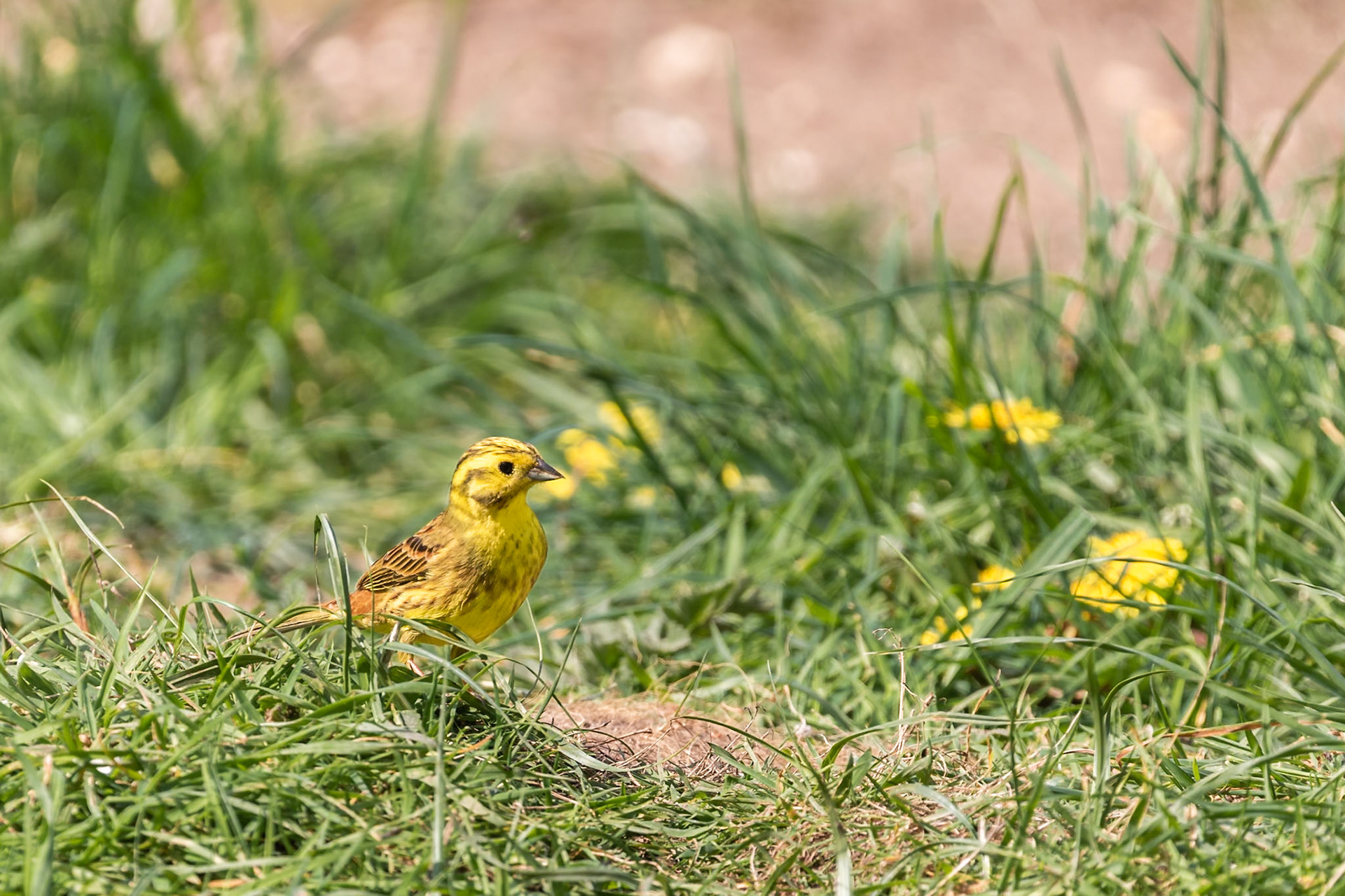 Norfolk, United Kingdom