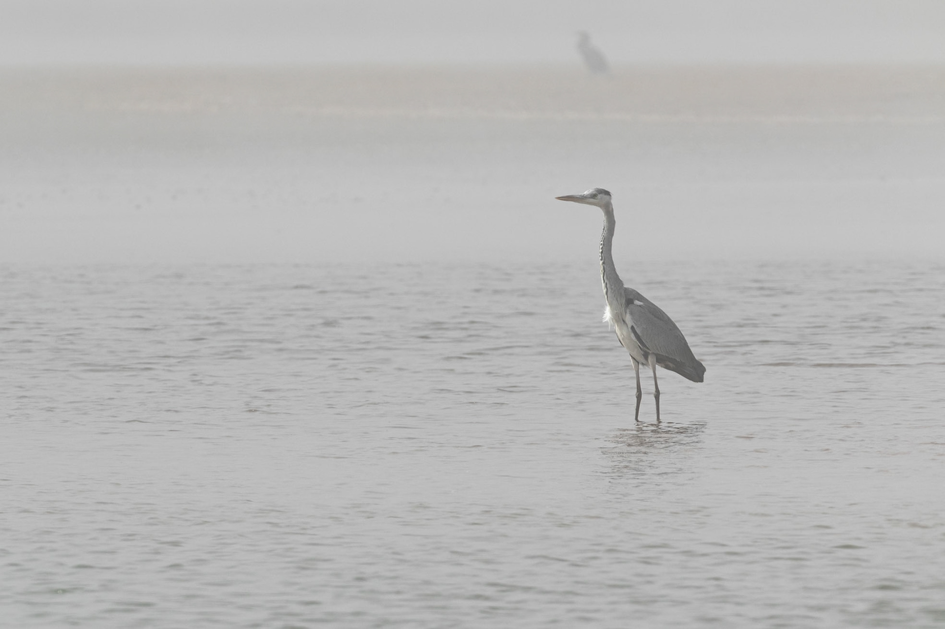 Souss-Massa National Park, Morocco