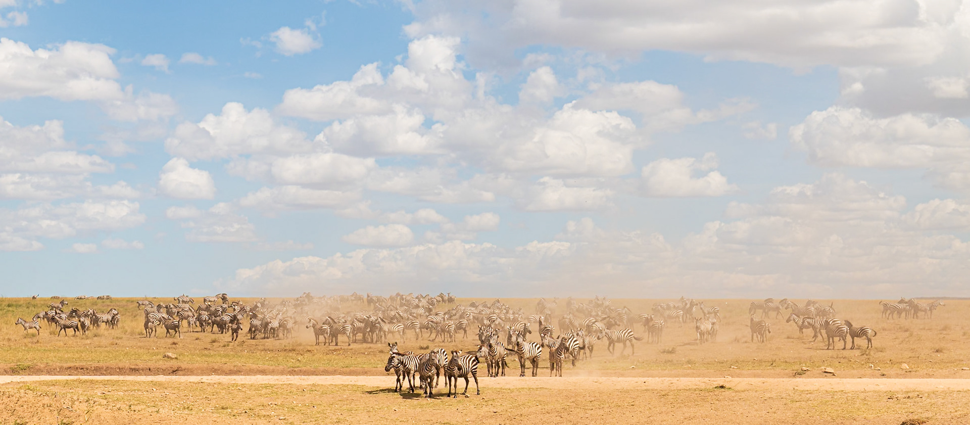Serengeti National Park, Tanzania