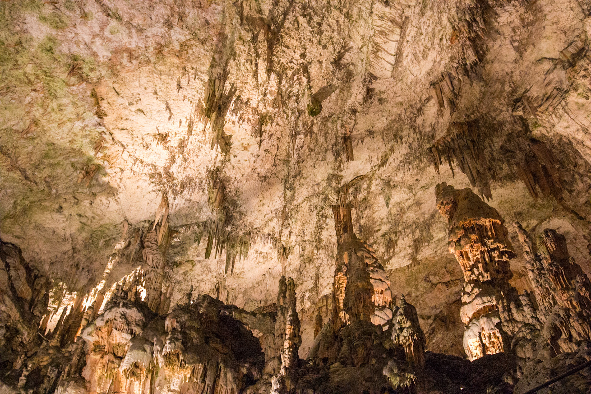 Postojna Cave, Slovenia